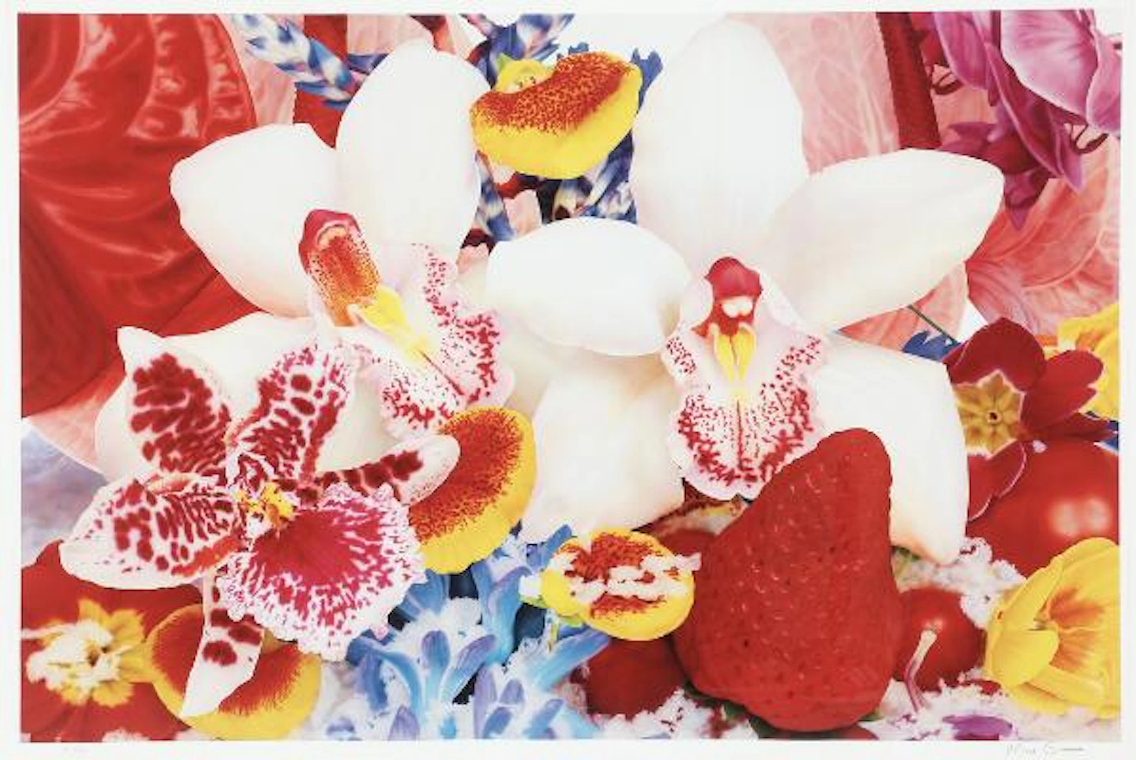 Marc Quinn: "Kuma Mela", 2015. Signed Marc Quinn, 4/20. Archival pigment