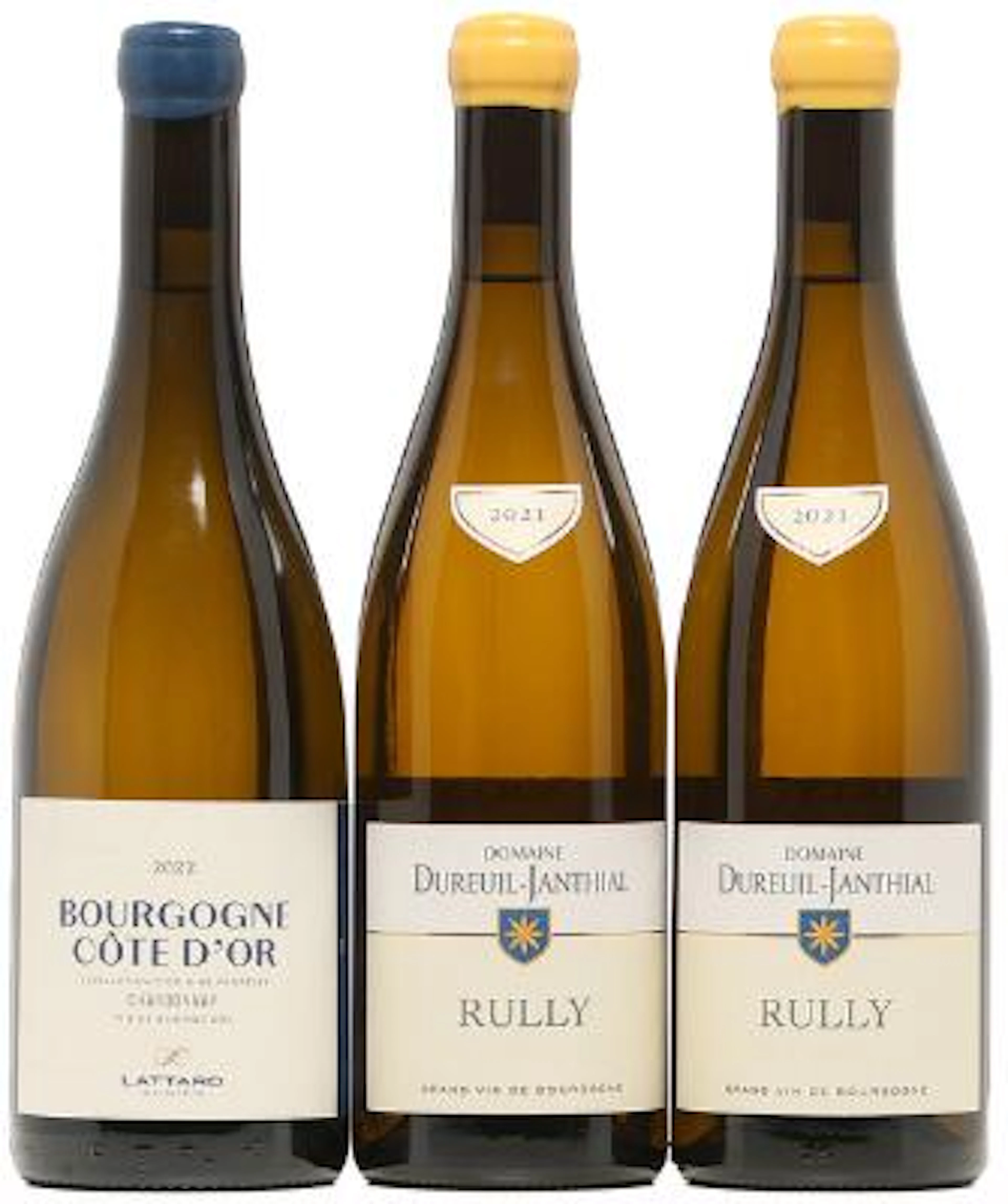 1 bt. Bourgogne Côte d'Or Blanc, Adrien Lattard 2022 A (hf/in). etc.