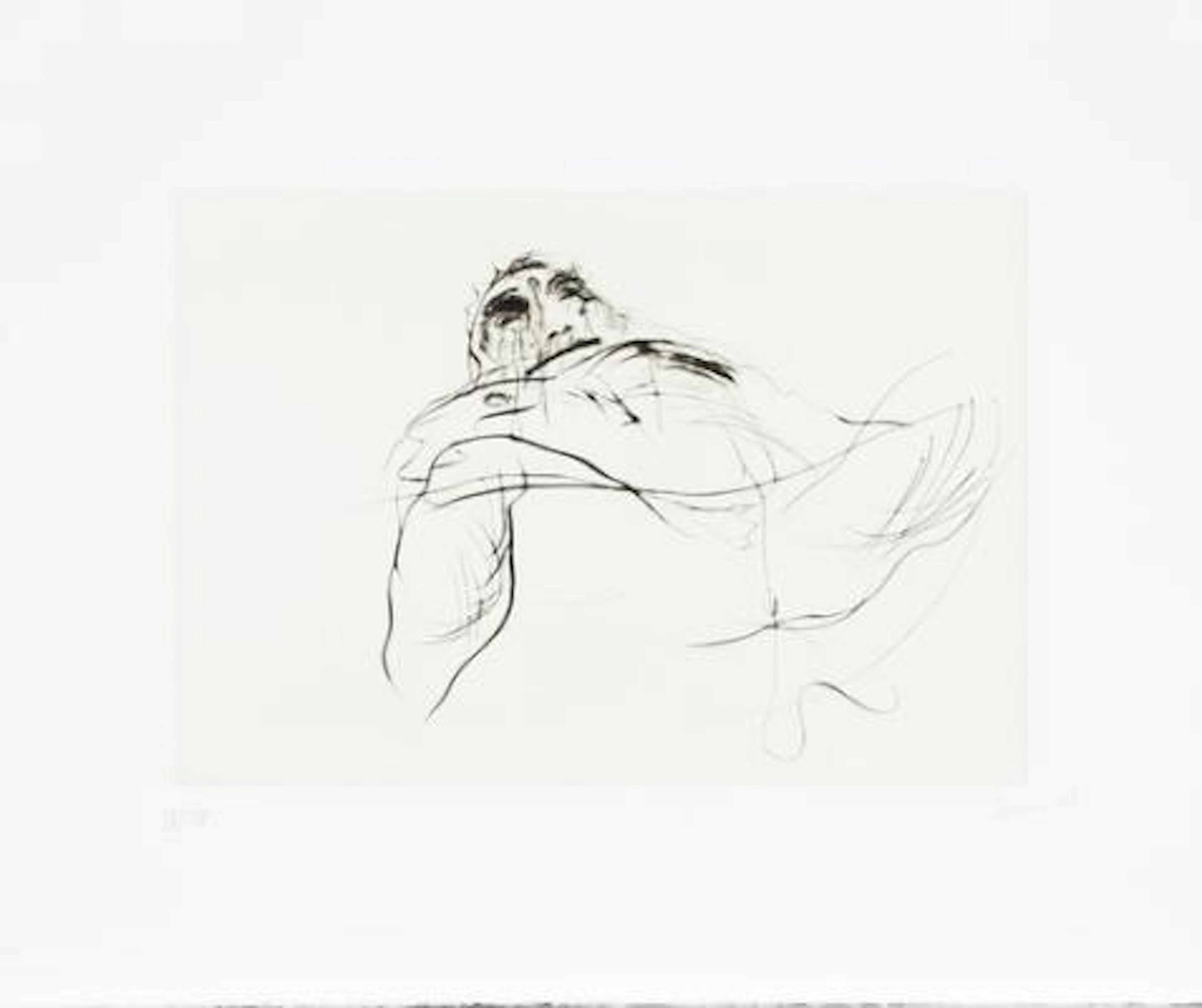 Bjarne Melgaard: "Life is a lonely Buffalo", 2005. Series of 12 compositions.