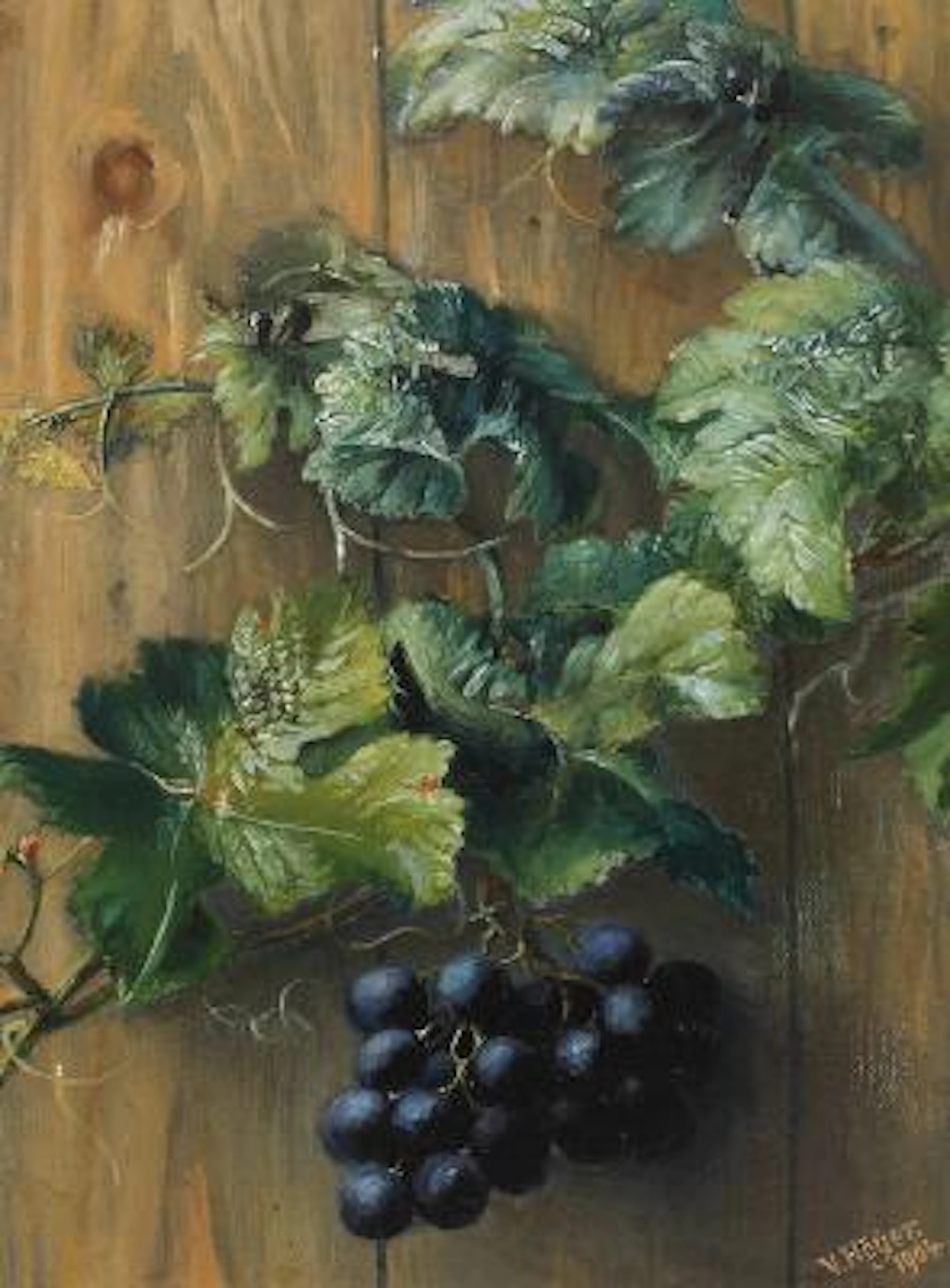 Vilhelm Julius Høyer: Grapevine with clusters of grapes. Signed and