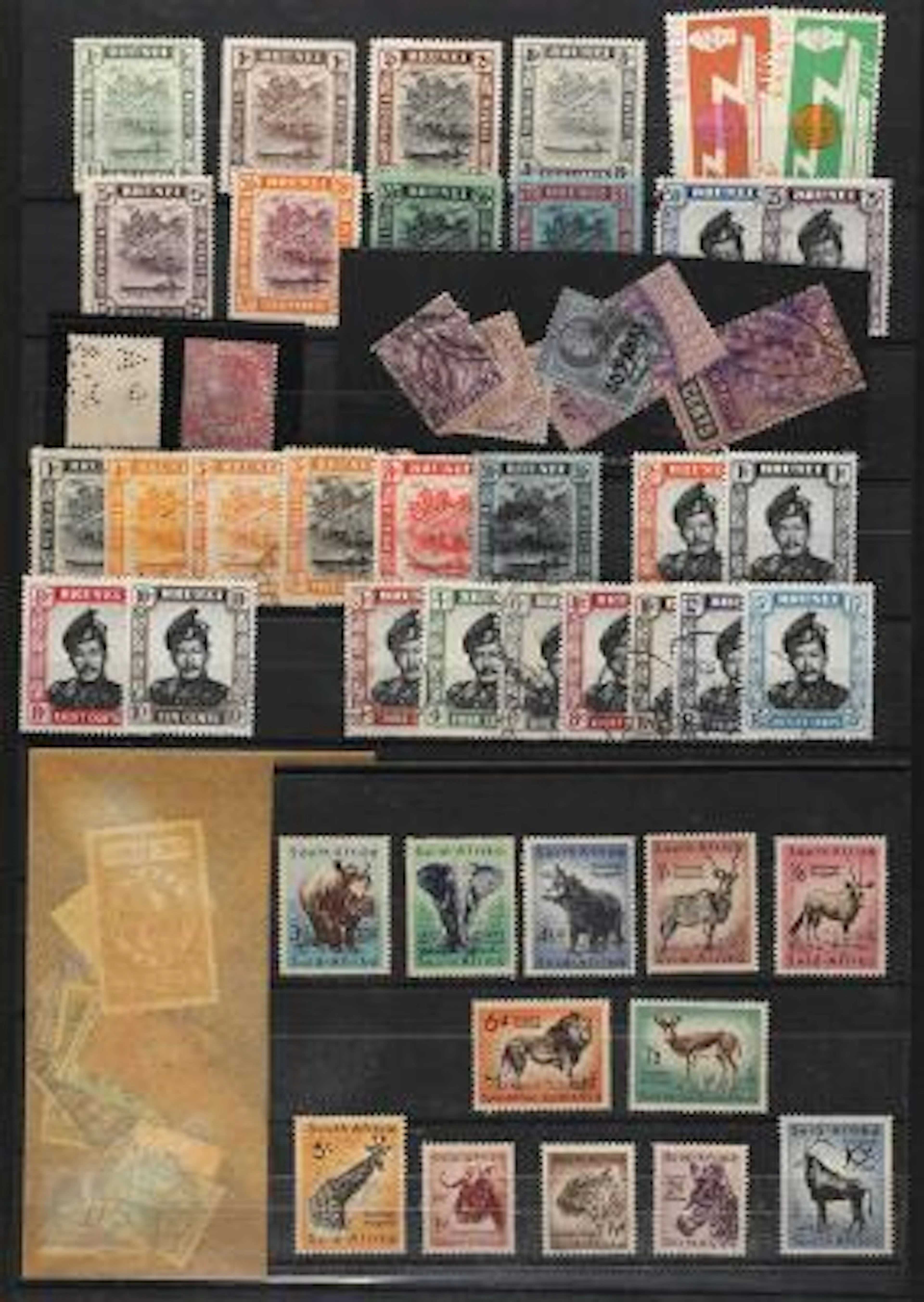 British Commonwealth. Fine accumulation in an ring binder with lots