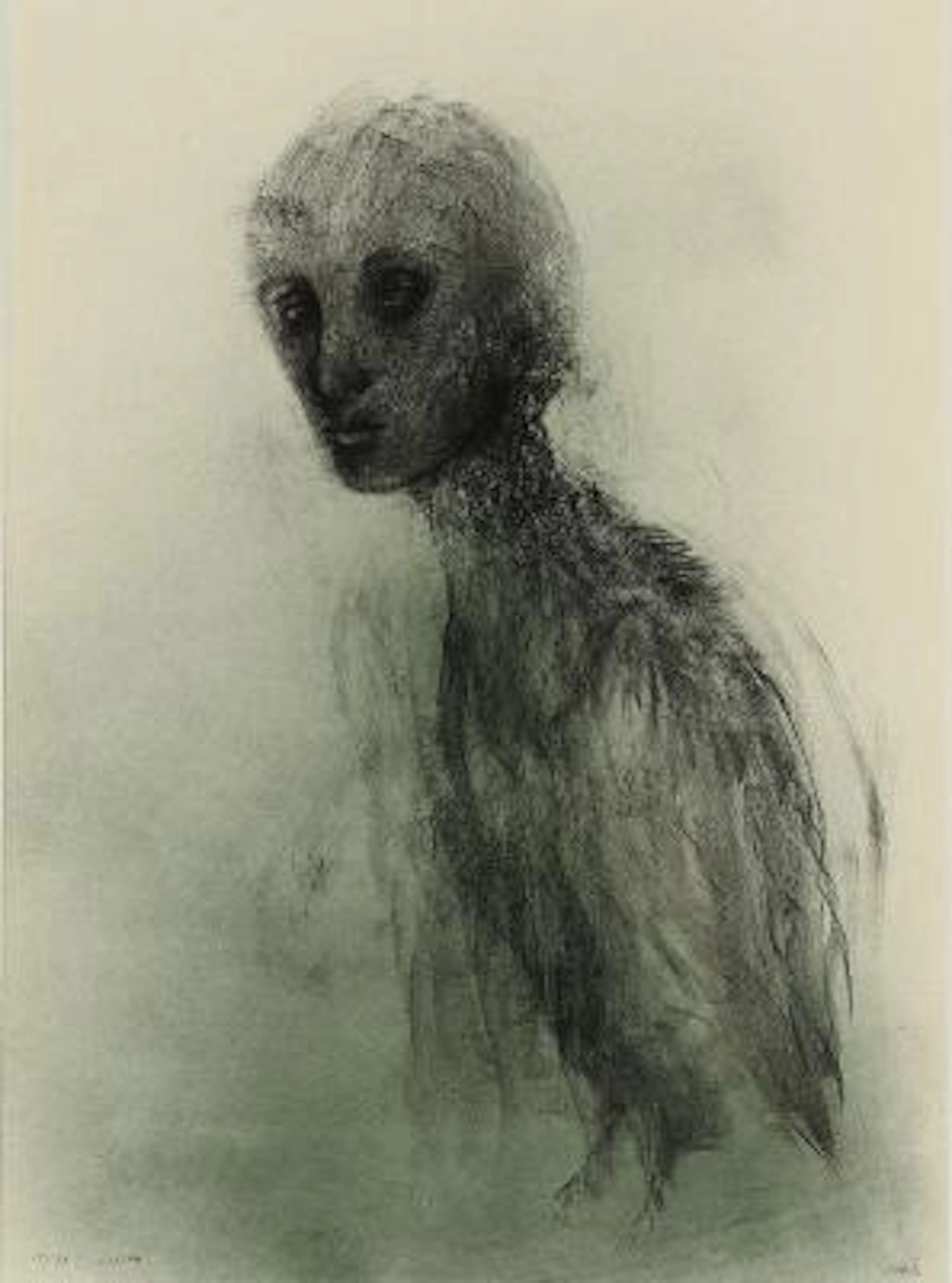 Cathrine Raben Davidsen: "Lilith". Signed CRD, 19/34. Lithograph.