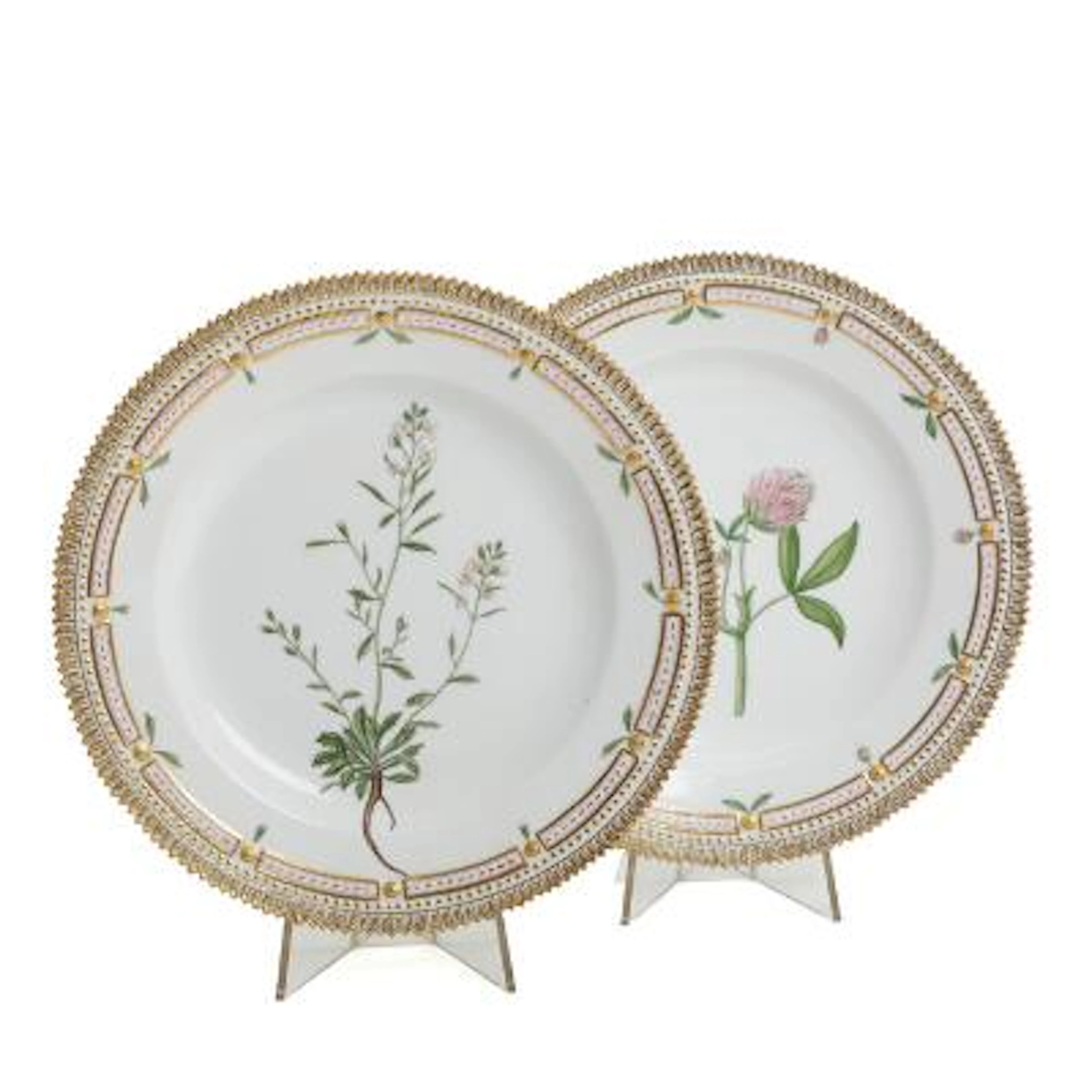 "Flora Danica". Two porcelain dinner plates, decorated in colours