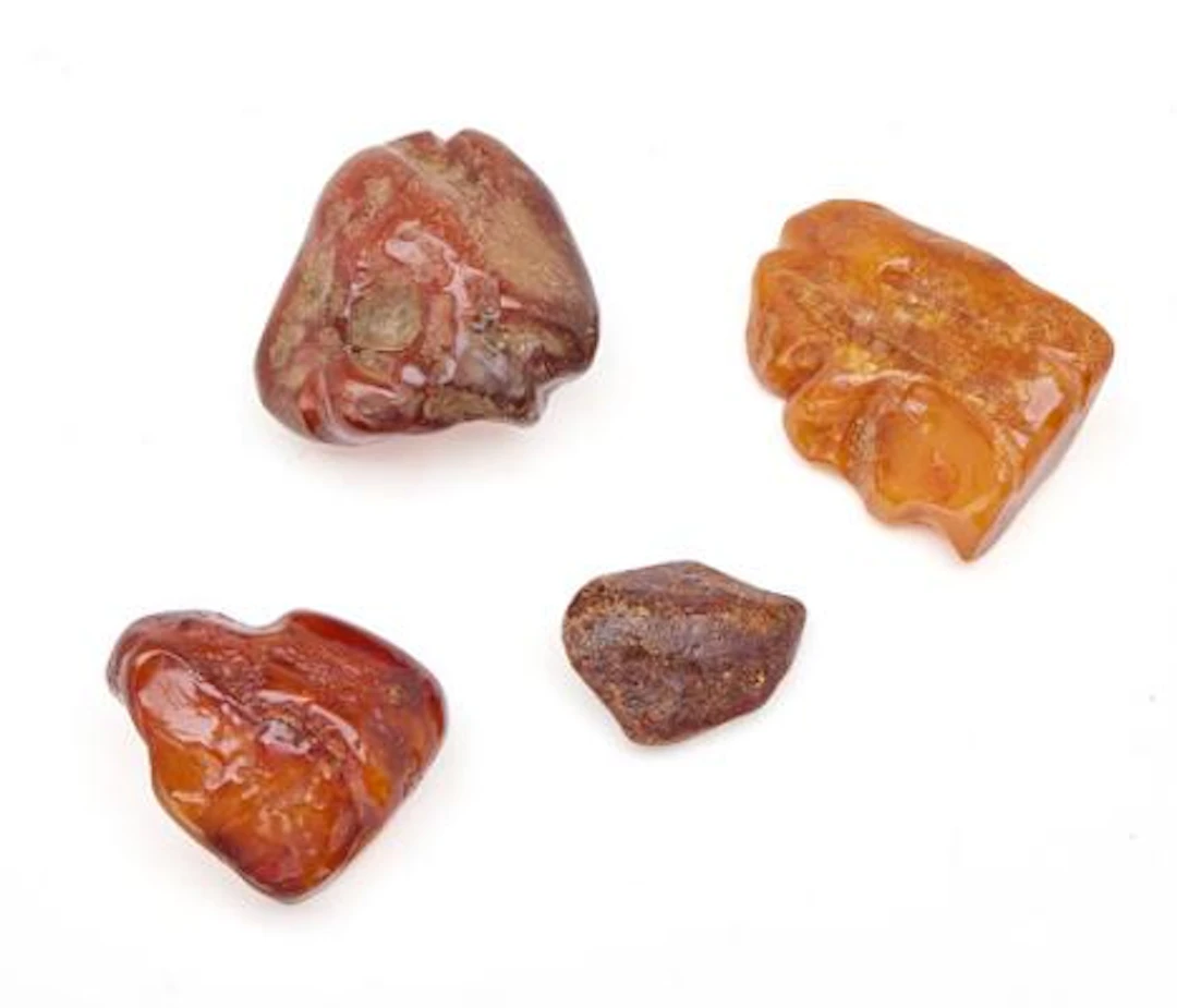 Four pieces of amber. Total weight 167 g. L. 4.5–6.5 cm. (4) – Bruun