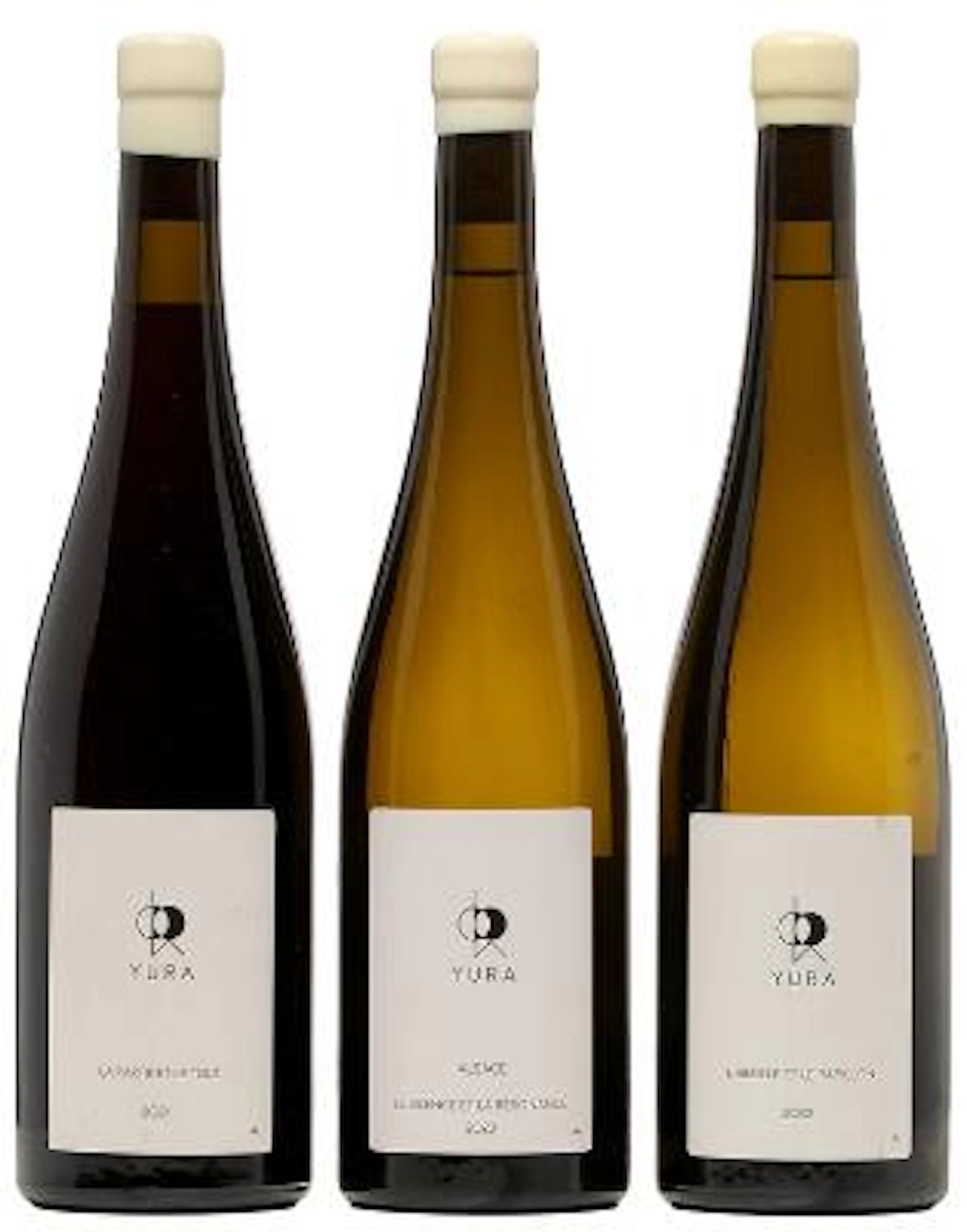 1 bt. "La Partie et le Tout" Pinot Noir, Jintaro Yura 2021 A (hf/in).