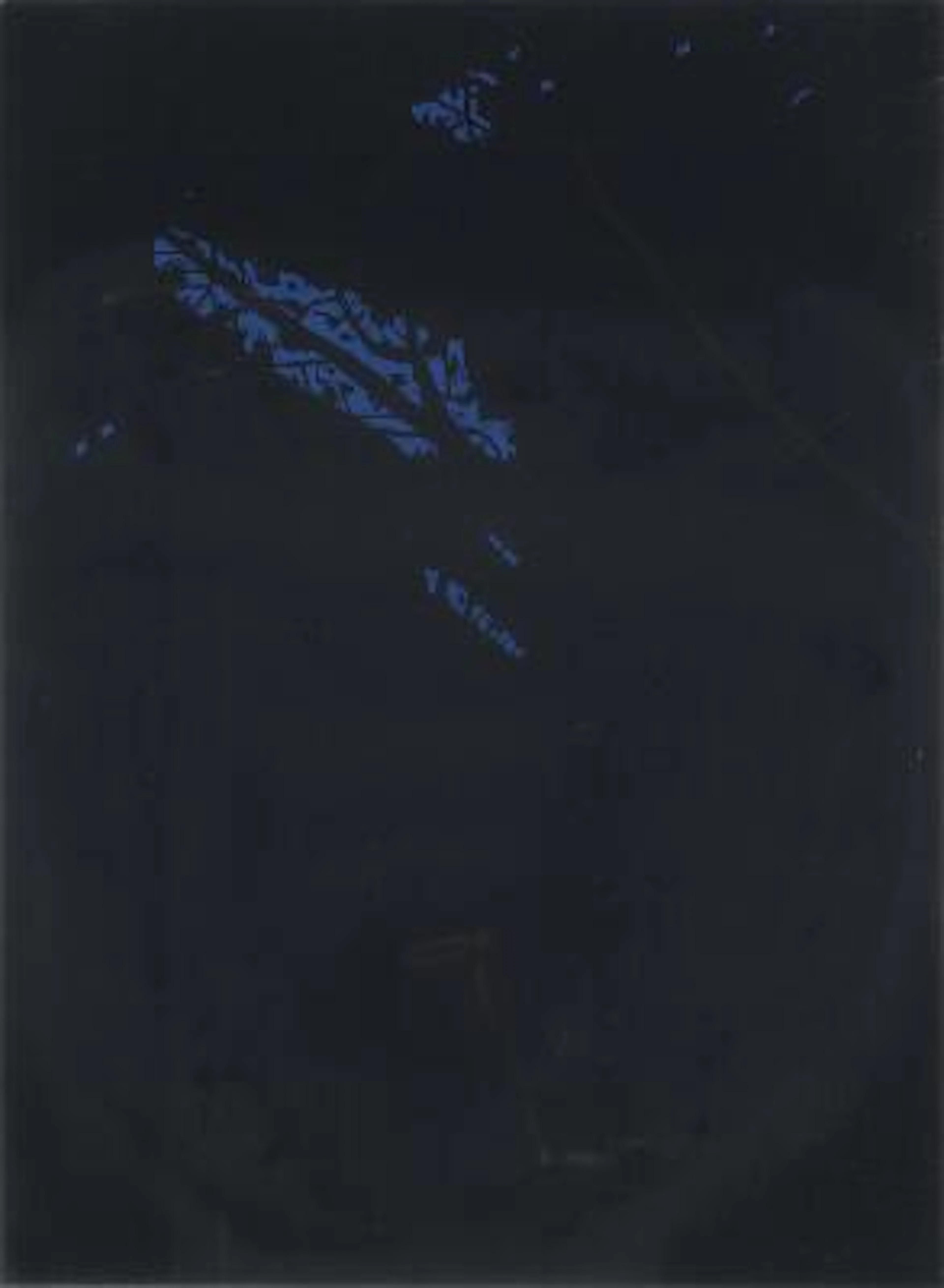 Alex Katz: "Night", 1992. Signed Alex Katz, 34/100. Woodcut in colours.