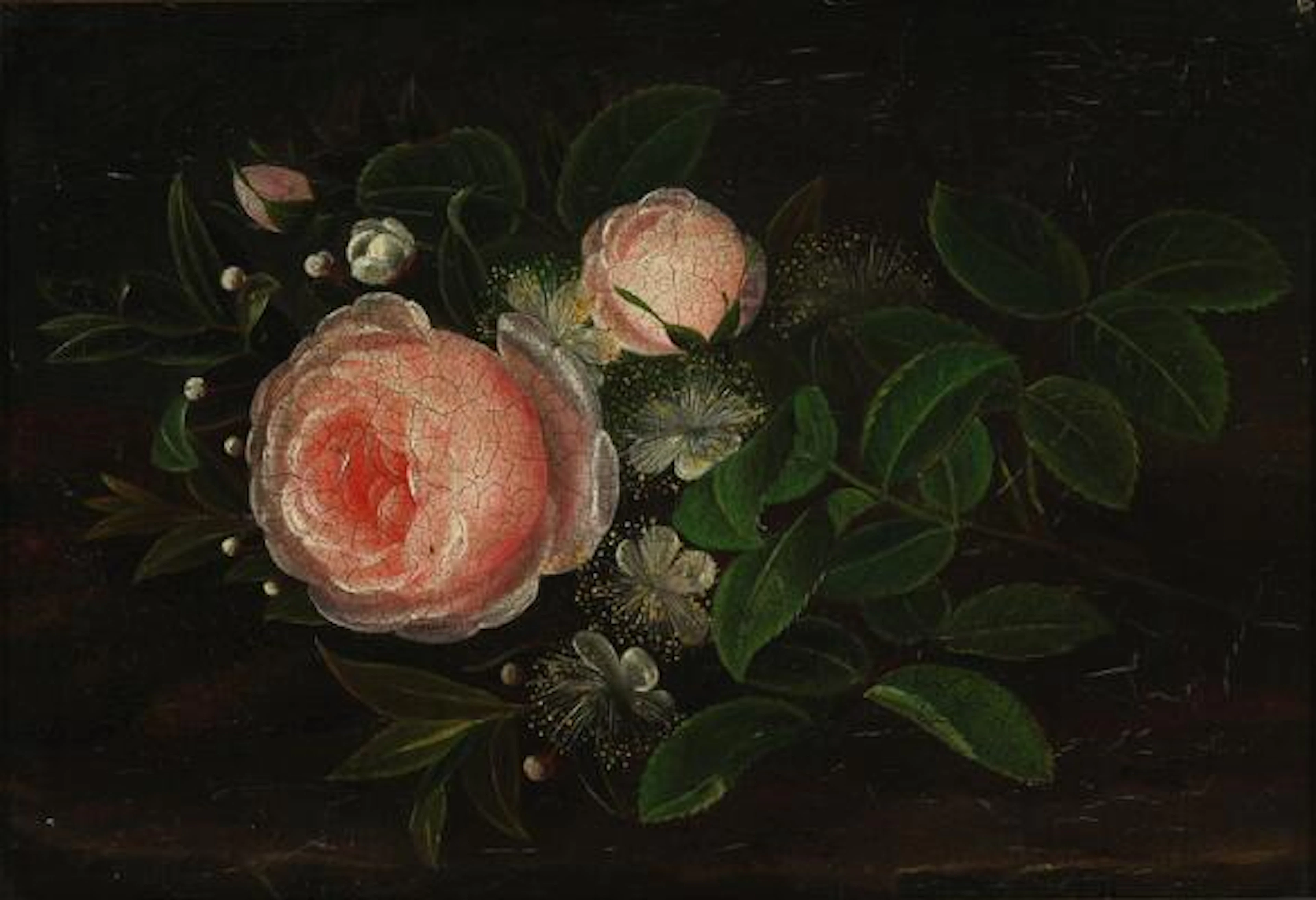 I. L. Jensen, school of, 19th century: A pink rose and apple blossom
