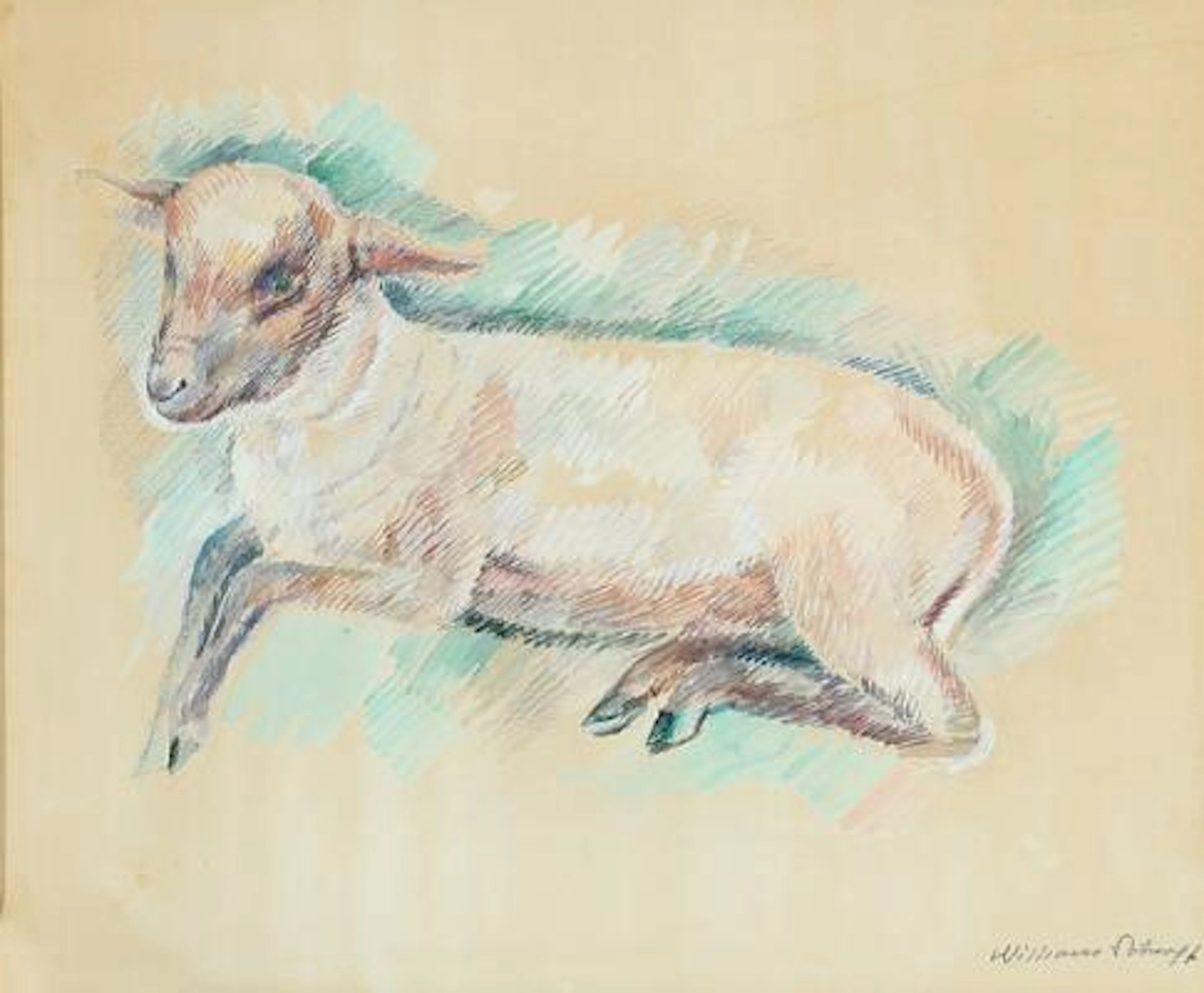 William Scharff: Lamb. Signed William Scharff. Watercolour and pencil