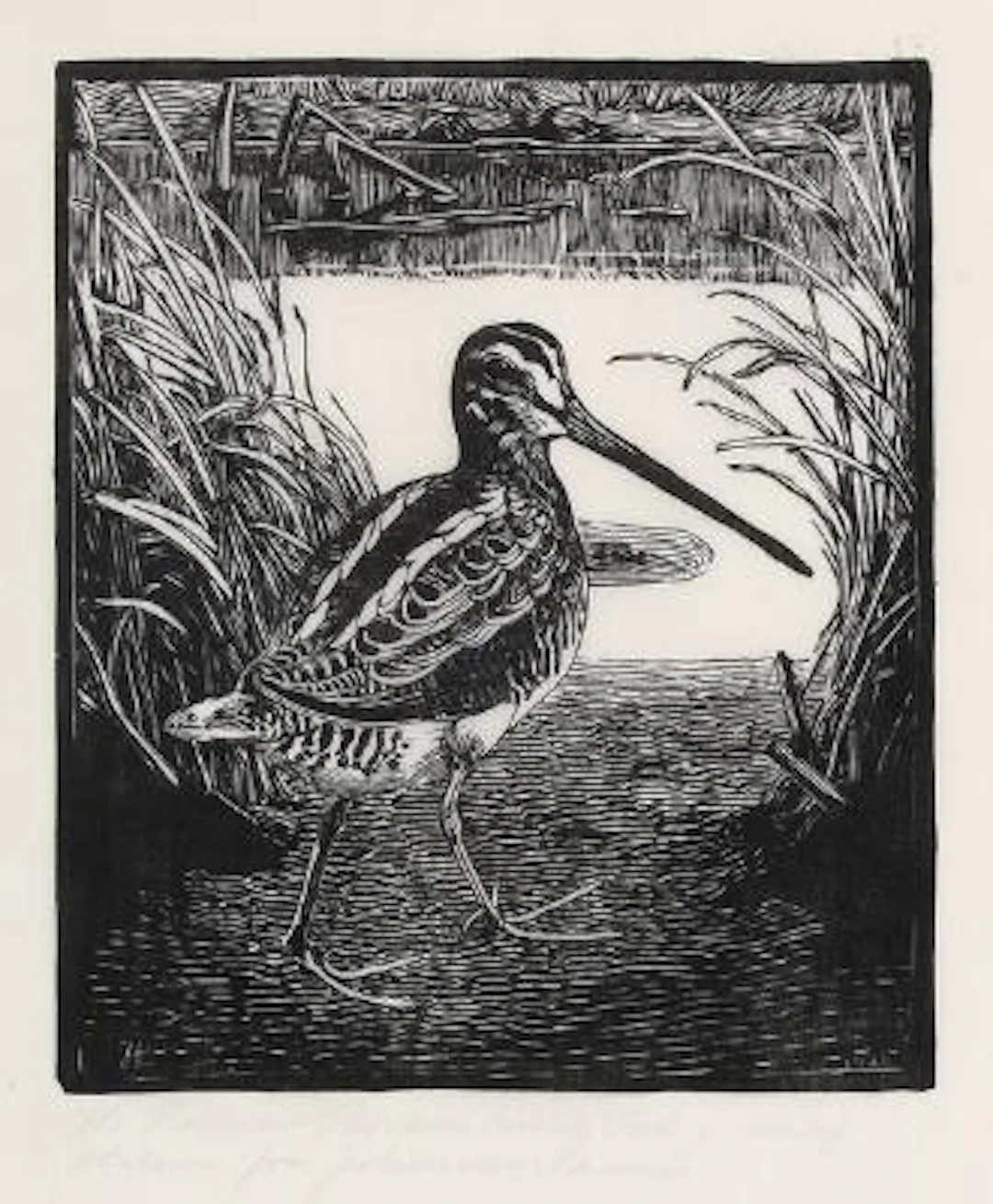 Johannes Larsen: "Gående bekkasin", 1920. Signed Johannes Larsen with