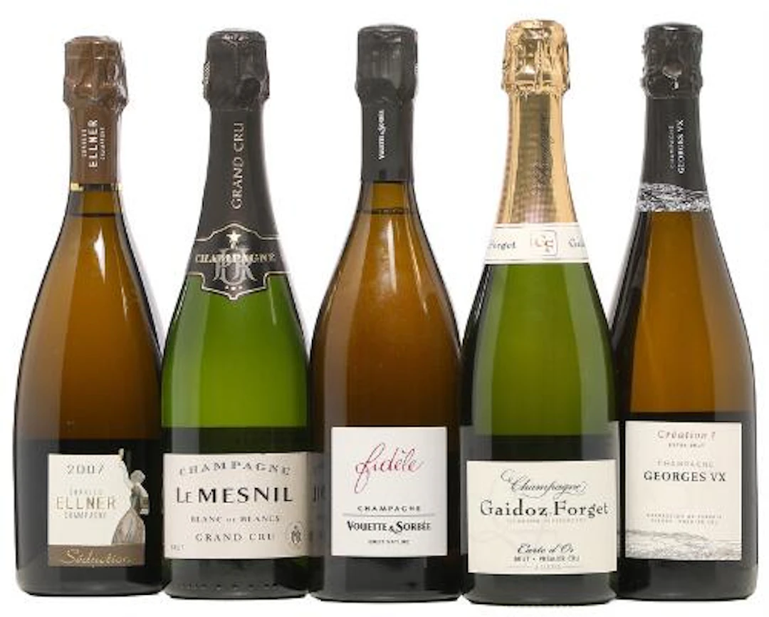 1 bt. Champagne "Brut Millésime", Charles Ellner 2007 A (hf/in). etc.