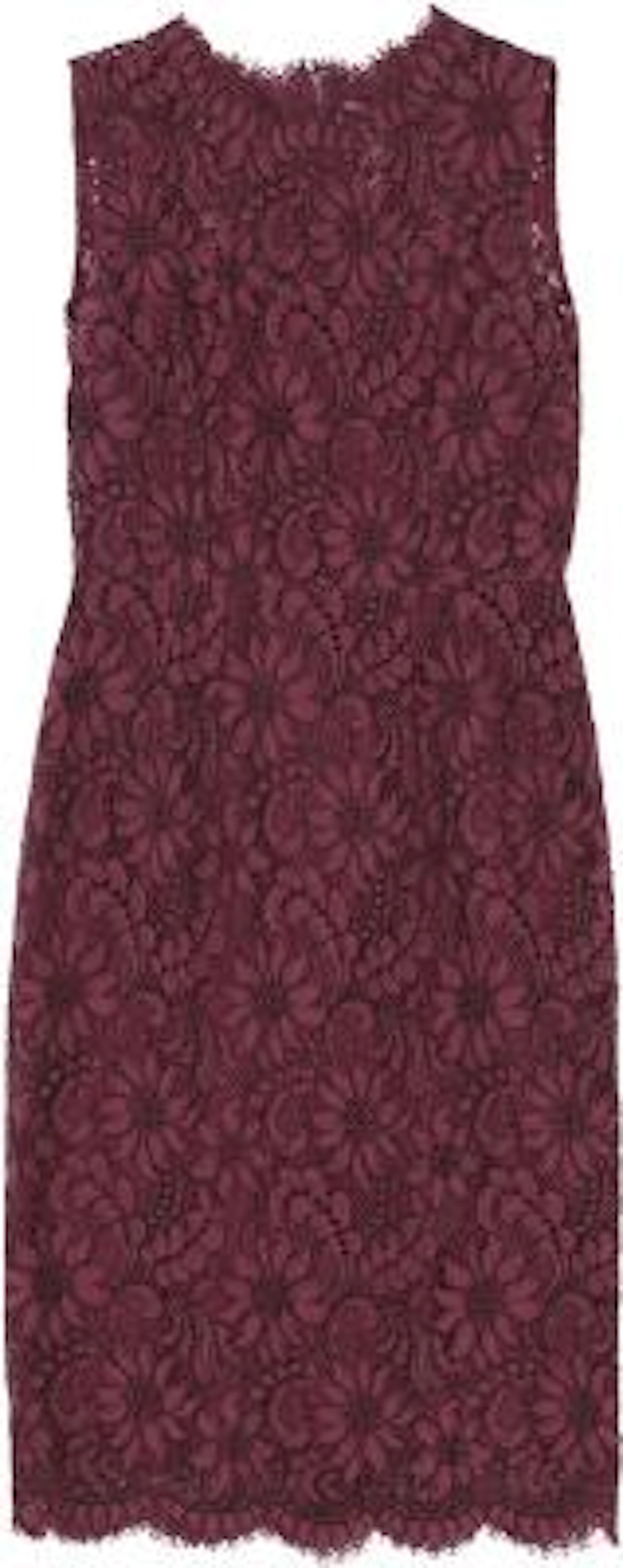 Dolce & Gabbana: A burgundy lace dress with a matching silk petticoat.