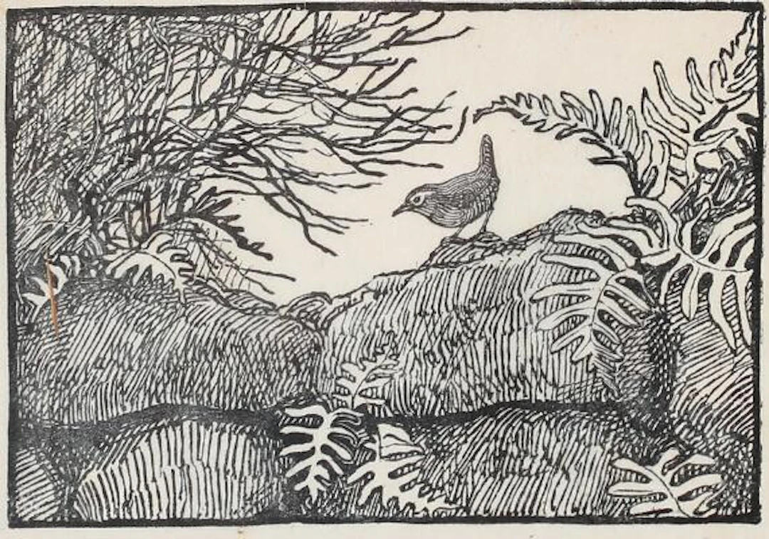 Johannes Larsen: A wren sitting among ferns and branches. Signed with