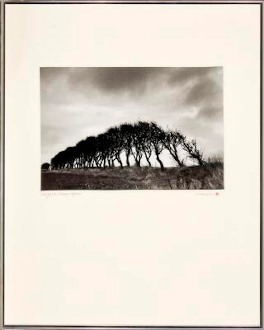 Kirsten Klein: "Vestjyske læhegn. Efterår". Signed Kirsten Klein.