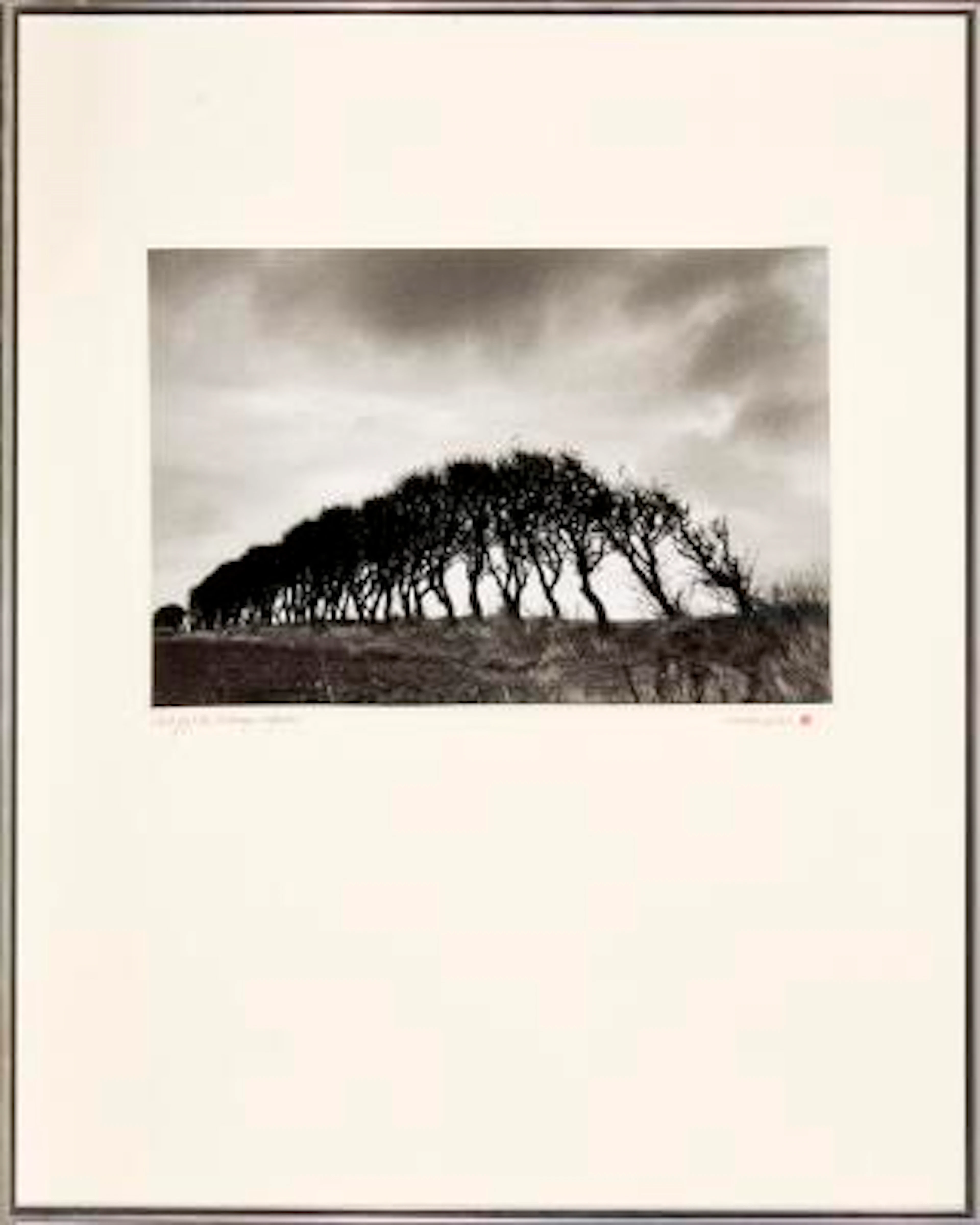 Kirsten Klein: "Vestjyske læhegn. Efterår". Signed Kirsten Klein.