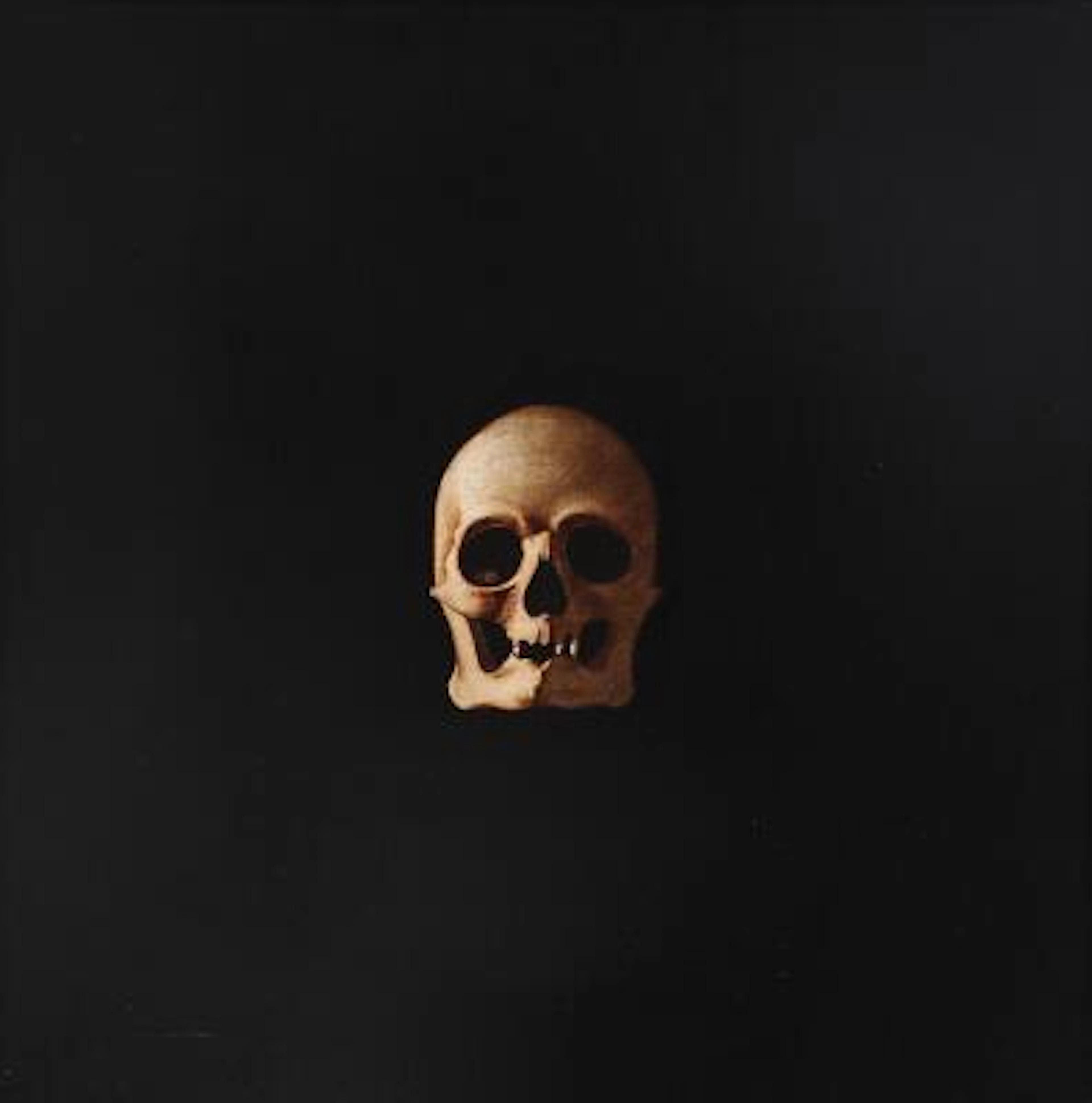 Steffen Jørgensen: "Skull", 1973. Signed on the back Steffen Jørgensen