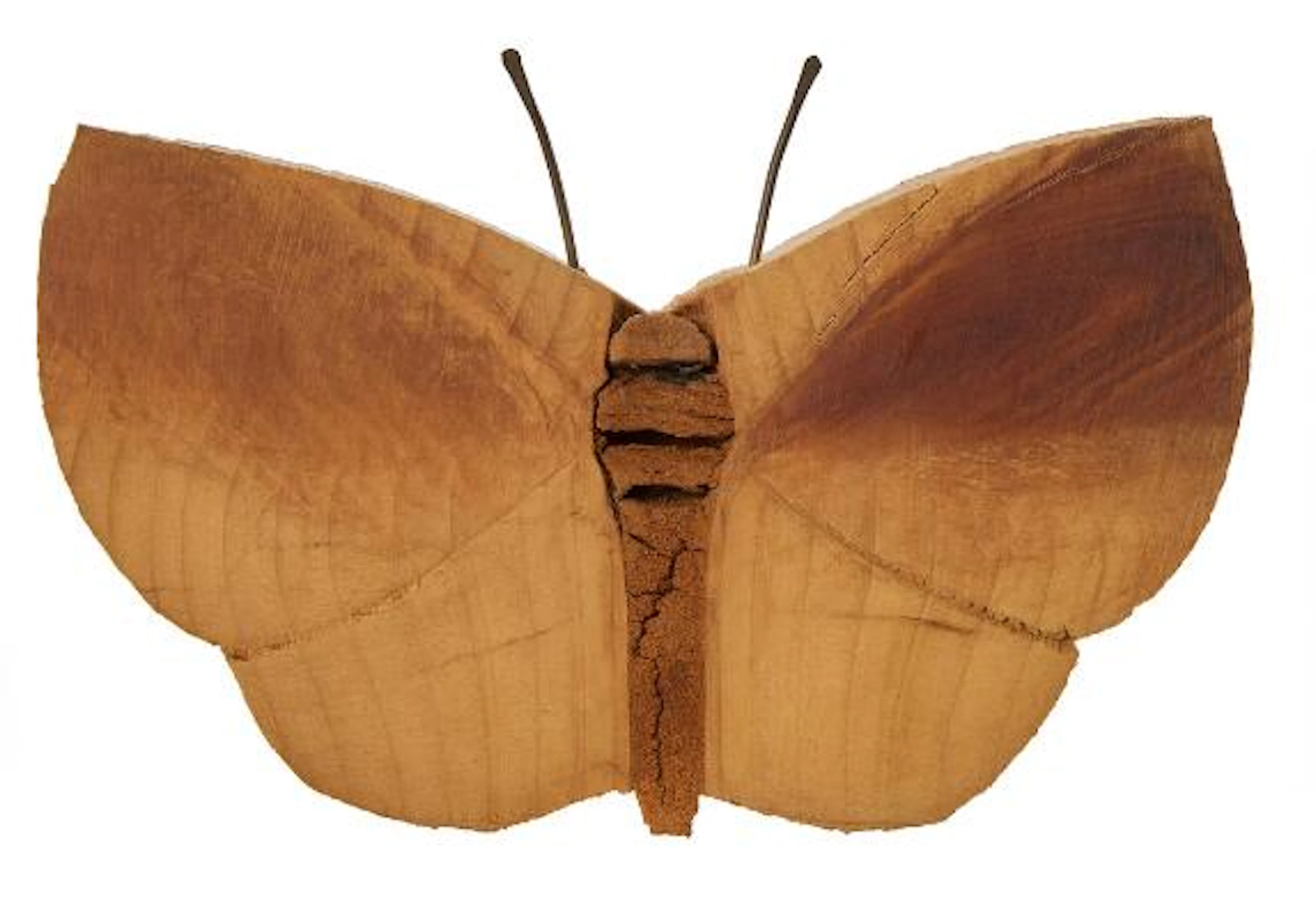 Jacob Hermann: Wooden wall figure in shape of a butterfly. Brass antennaes.