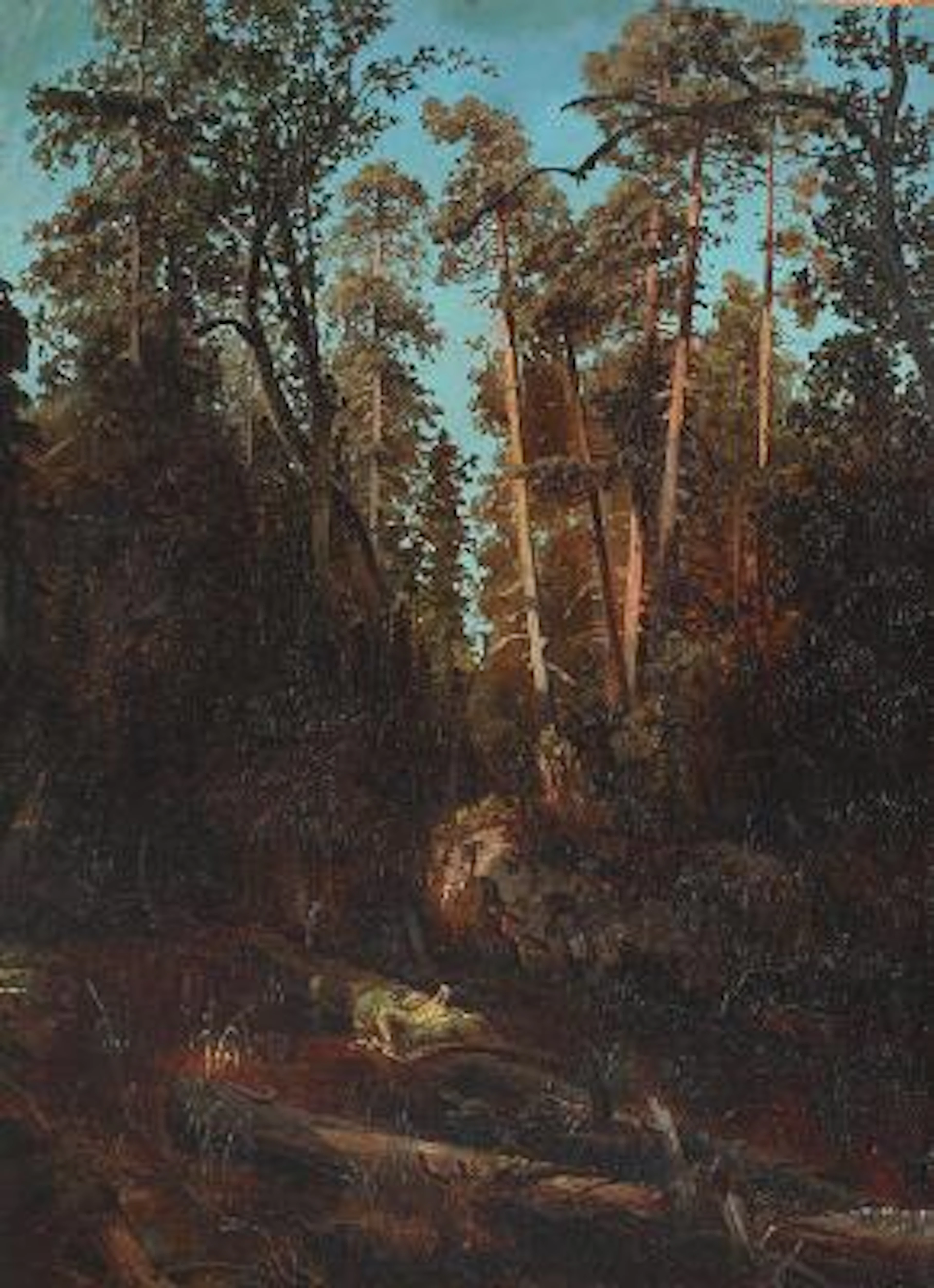 Axel Wilhelm Nordgren: Forest landscape. Unsigned. Oil on cardboard.