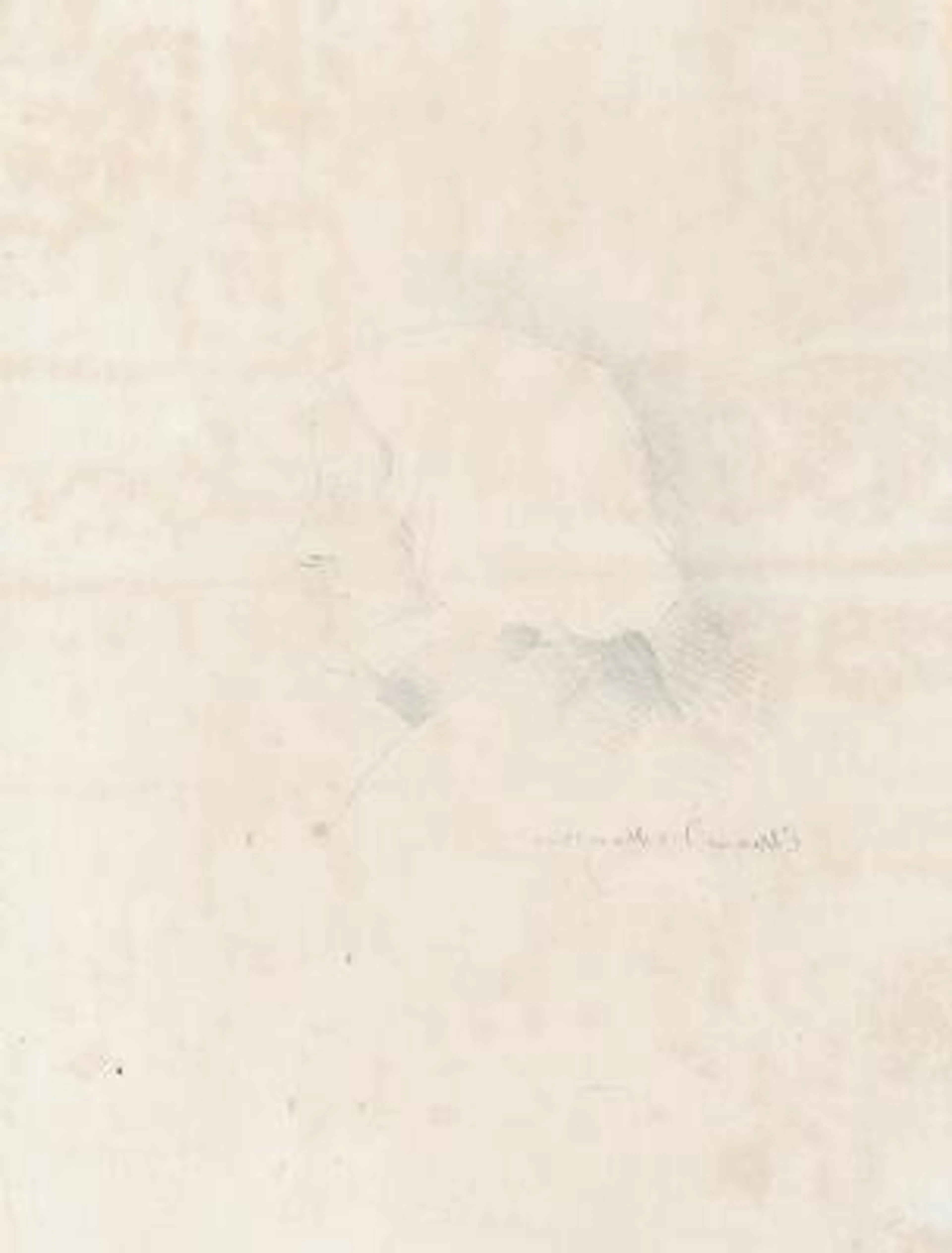 Ernst Meyer: Portrait og Bertel Thorvaldsen, 1844. Signed in the print.