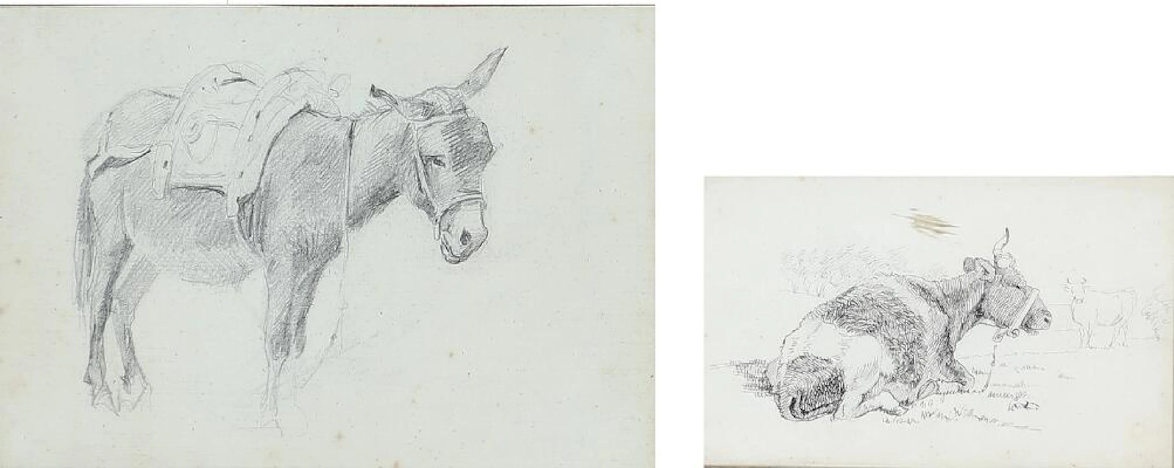 Theodor Philipsen: Two studies of a cow and a mule. Unsigned. Pencil