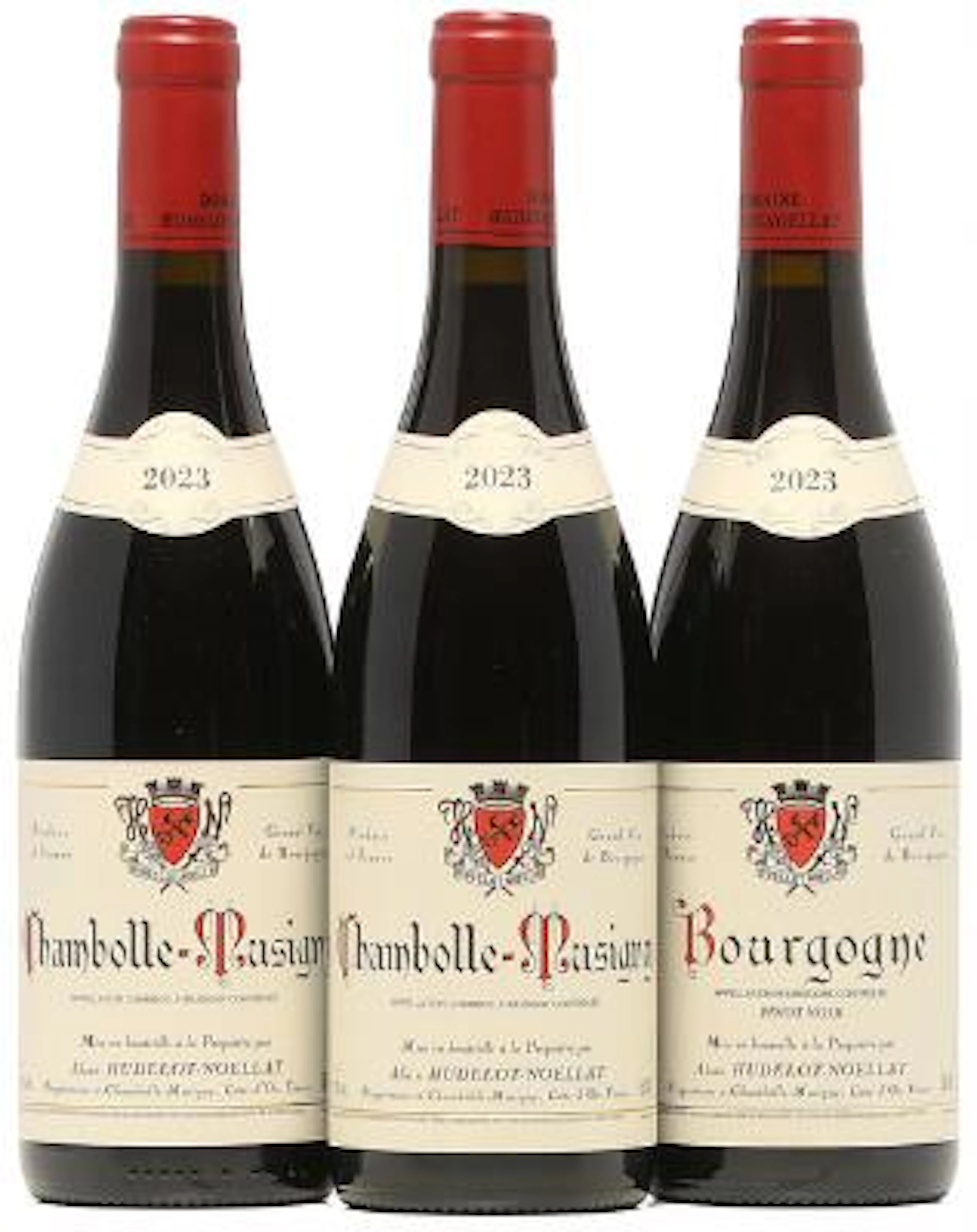 2 bts. Chambolle Musigny, Domaine Hudelot-Noellat 2023 A (hf/in).