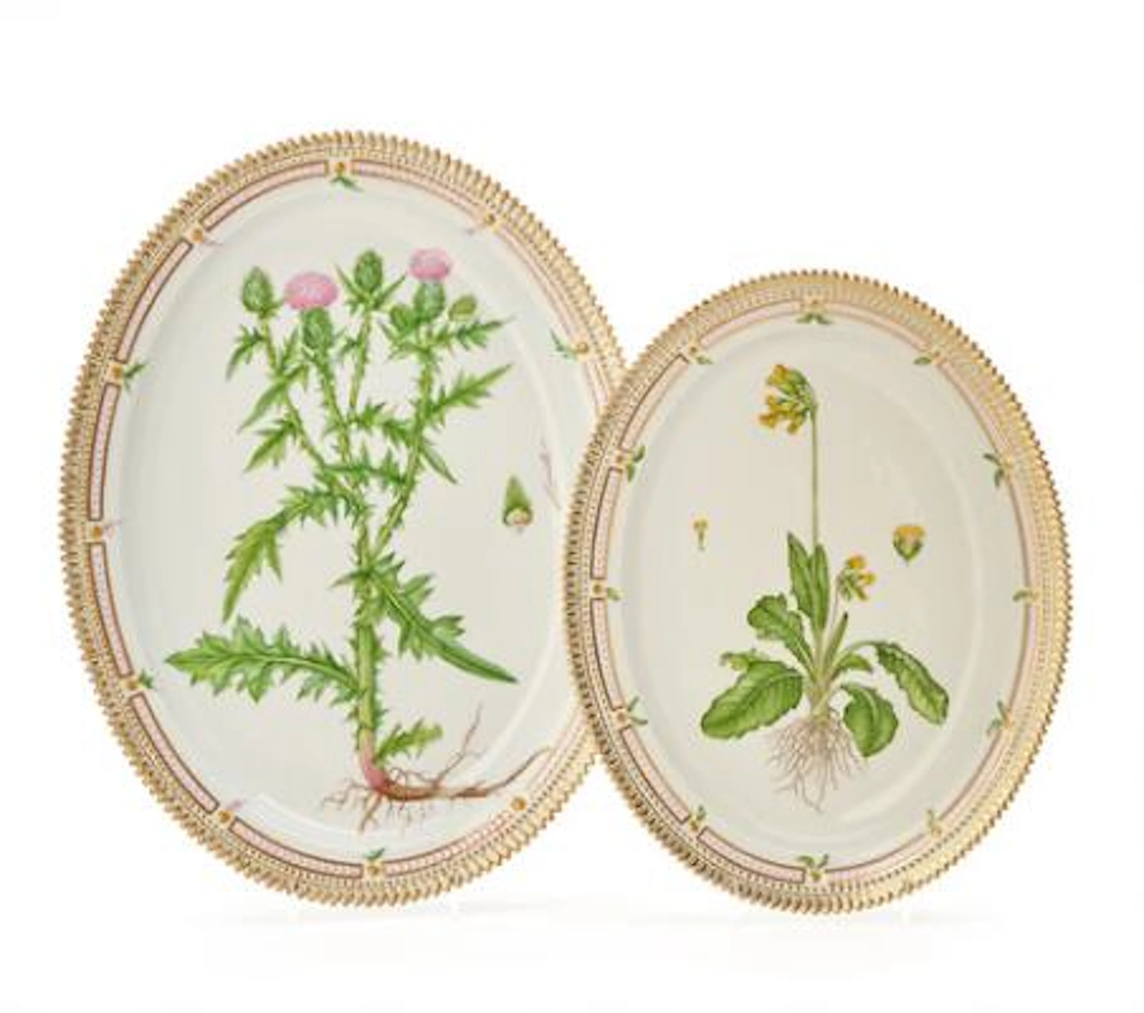 "Flora Danica" two oval dishes of porcelain, decorated in colours