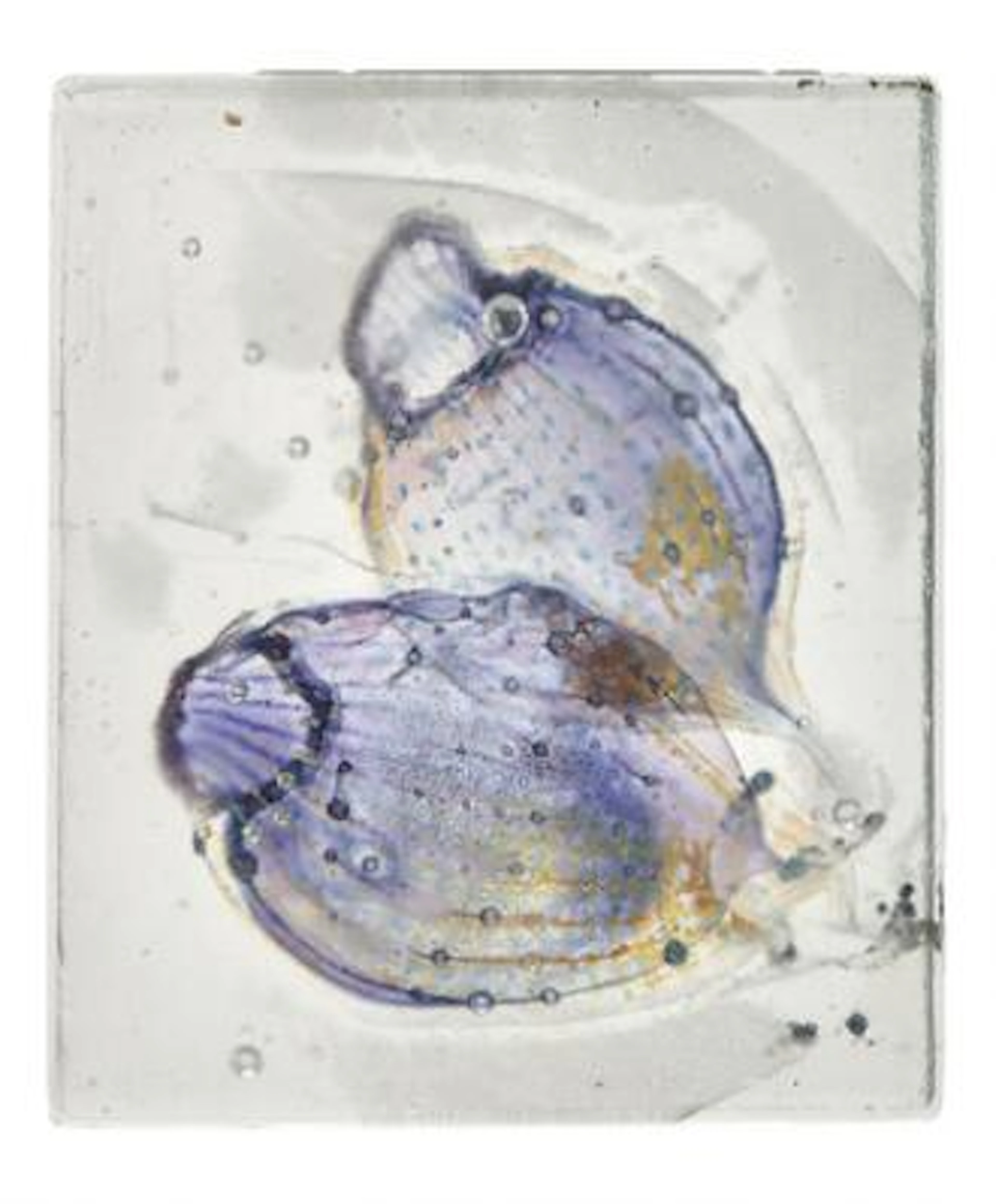 Steffen Dam: "Fossil". A clear glass object inlaid with formations