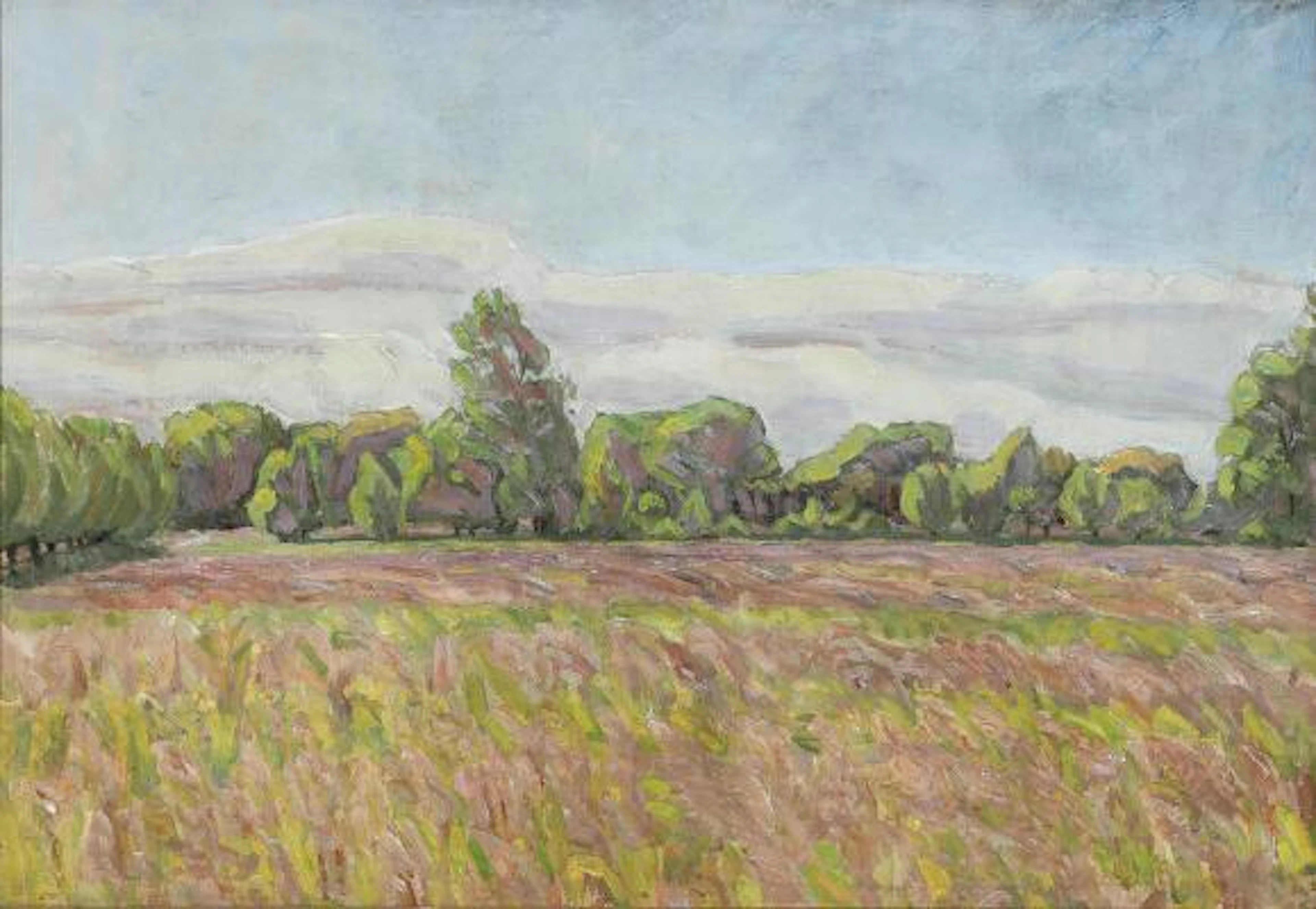 Niels Larsen Stevns: "Blomstrende græs på engen". Signed NS. Oil on