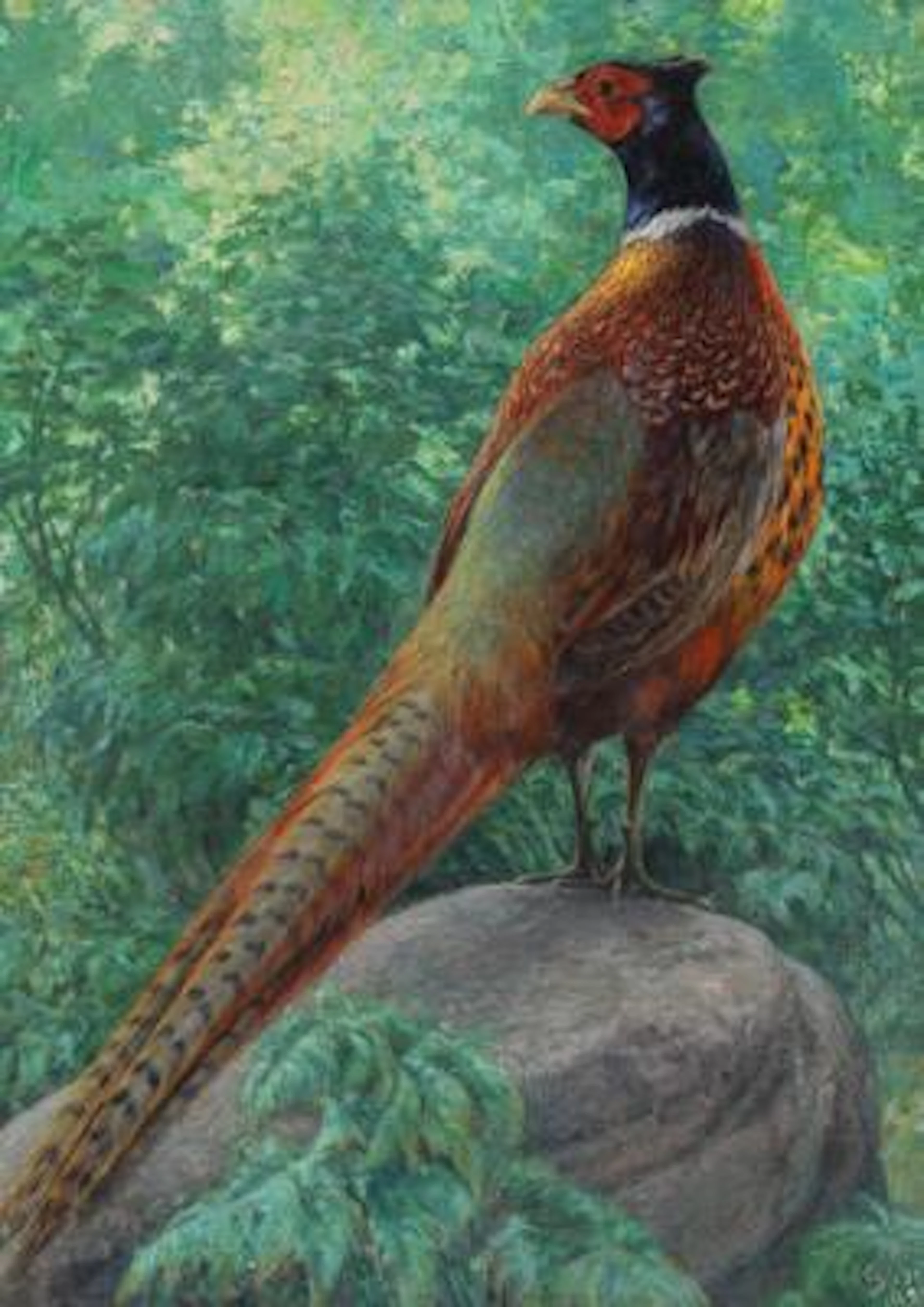 Carl Martin Soya-Jensen: Pheasant Cock. Signed and dated S. J. 1920.