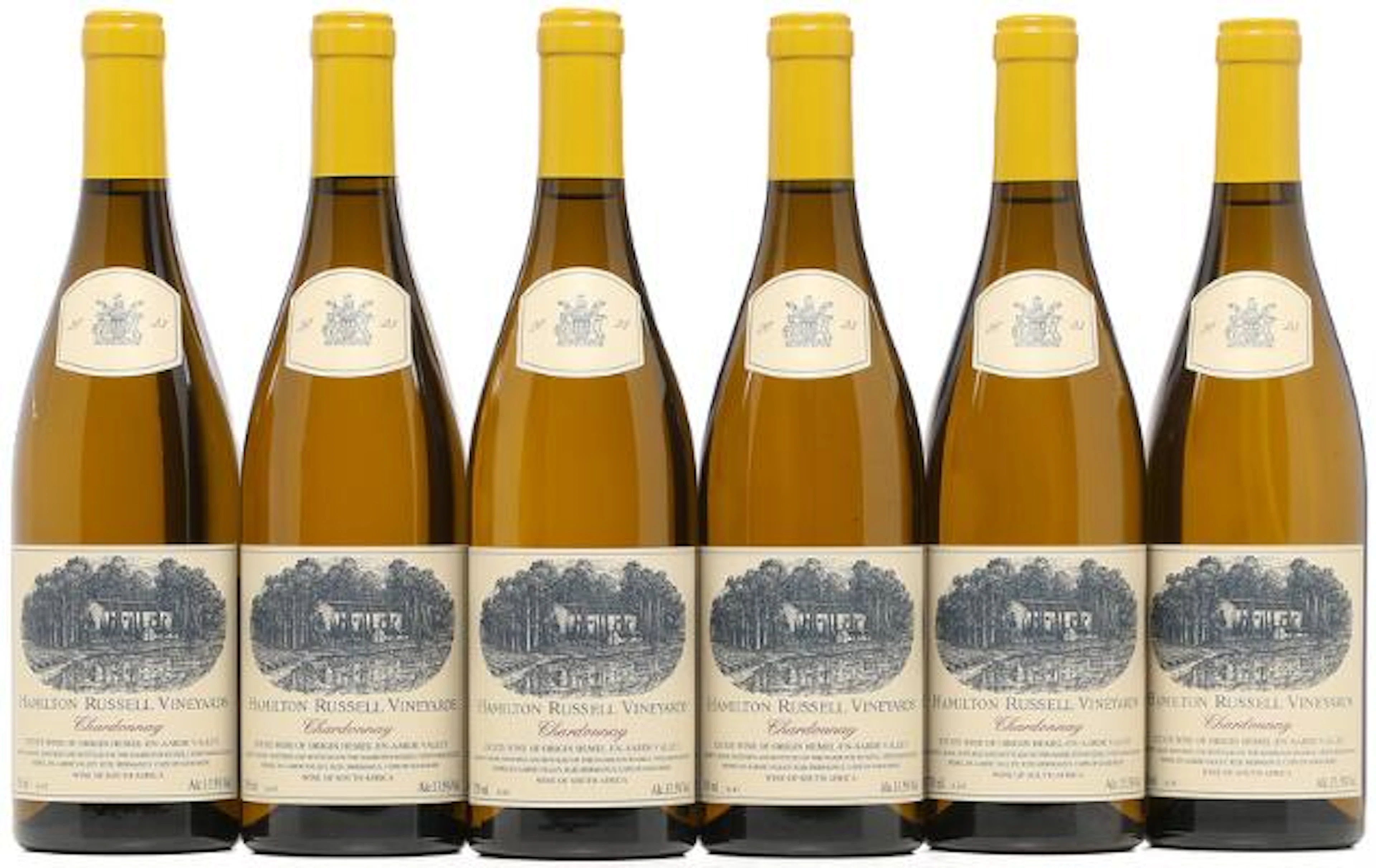 6 bts. Chardonnay, Hamilton Russell Vineyards 2023 A (hf/in). Oc.