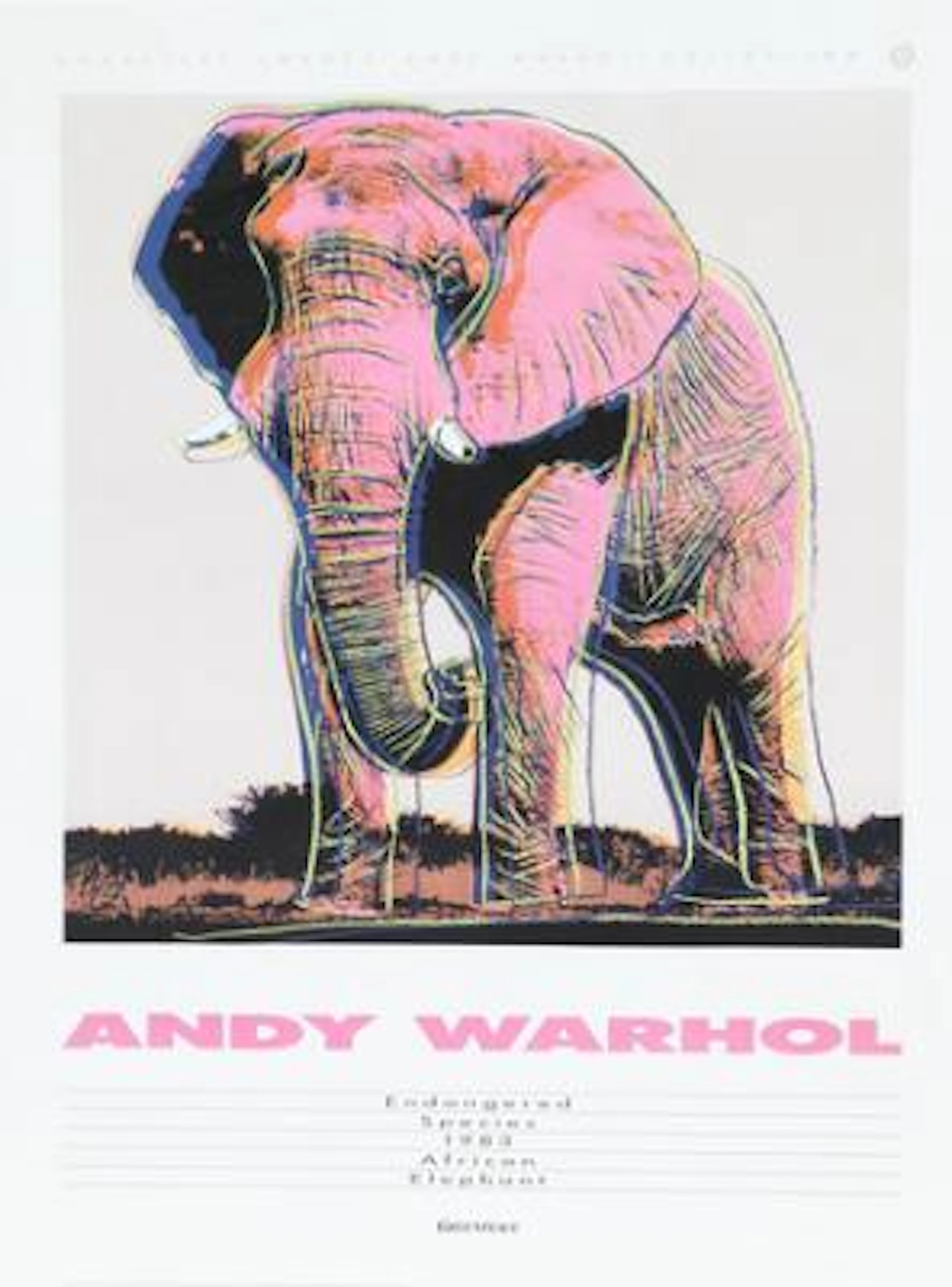 Andy Warhol, after: "African Elephant", 1983. Unsigned. Poster for