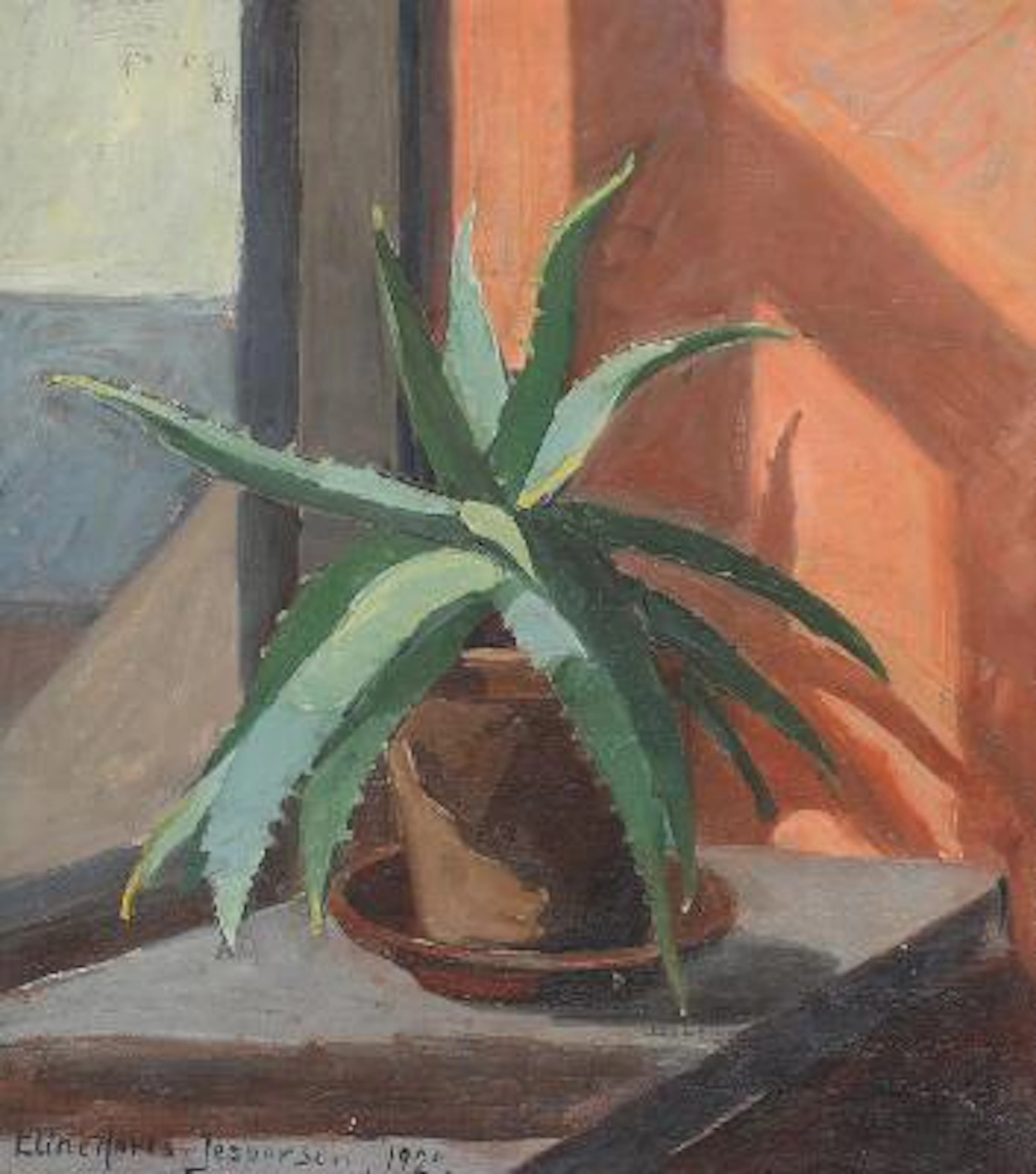 Eline Hertz Jespersen: An agave in a sun-lit window sill. Signed.
