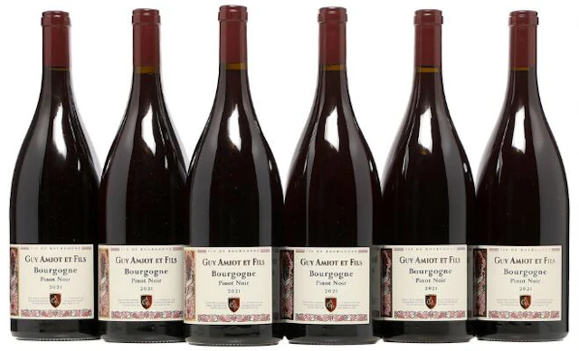6 bts. Mg. Bourgogne Pinot Noir, Guy Amiot et Fils 2021 A (hf/in).