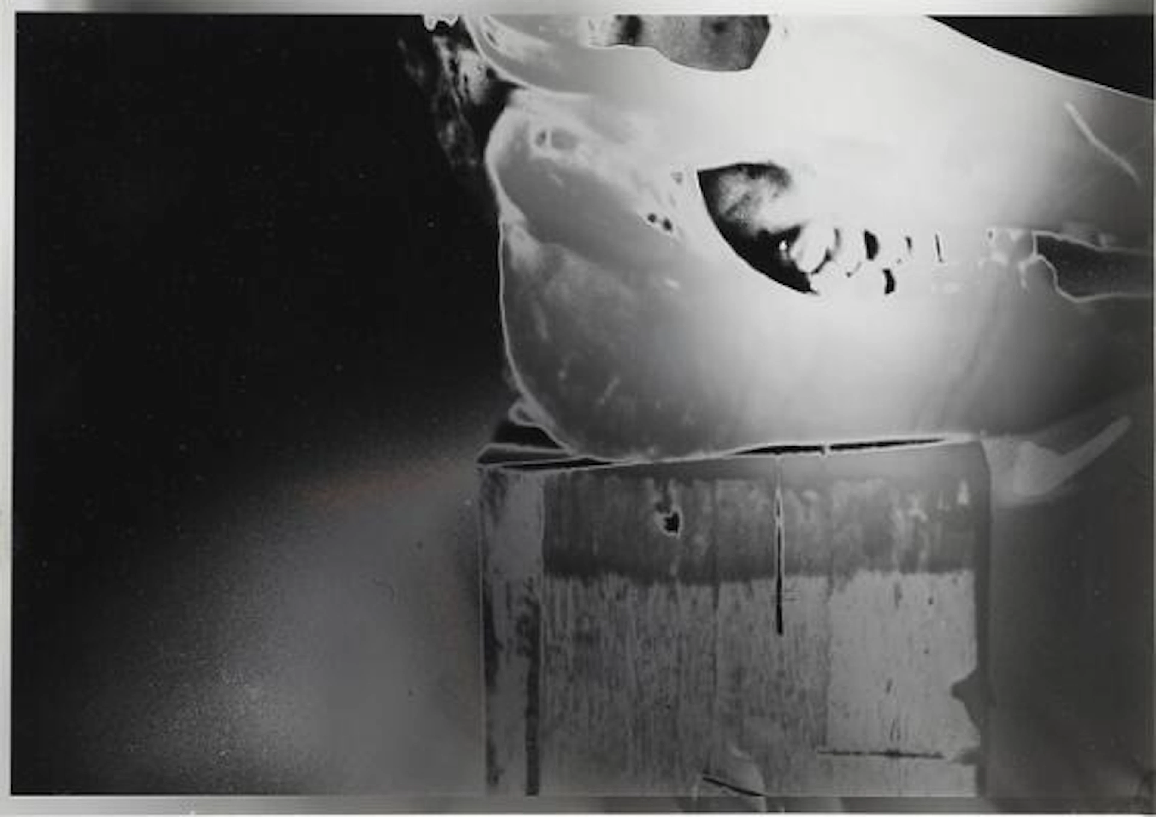 Peter Brandes: Still Life with Skull. Signed Peter Brandes on the