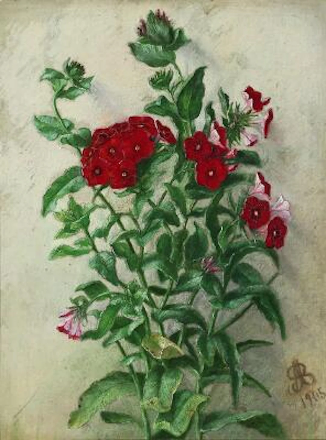 Alfrida Baadsgaard: Still life of red phloxes. Signed and dated monogram