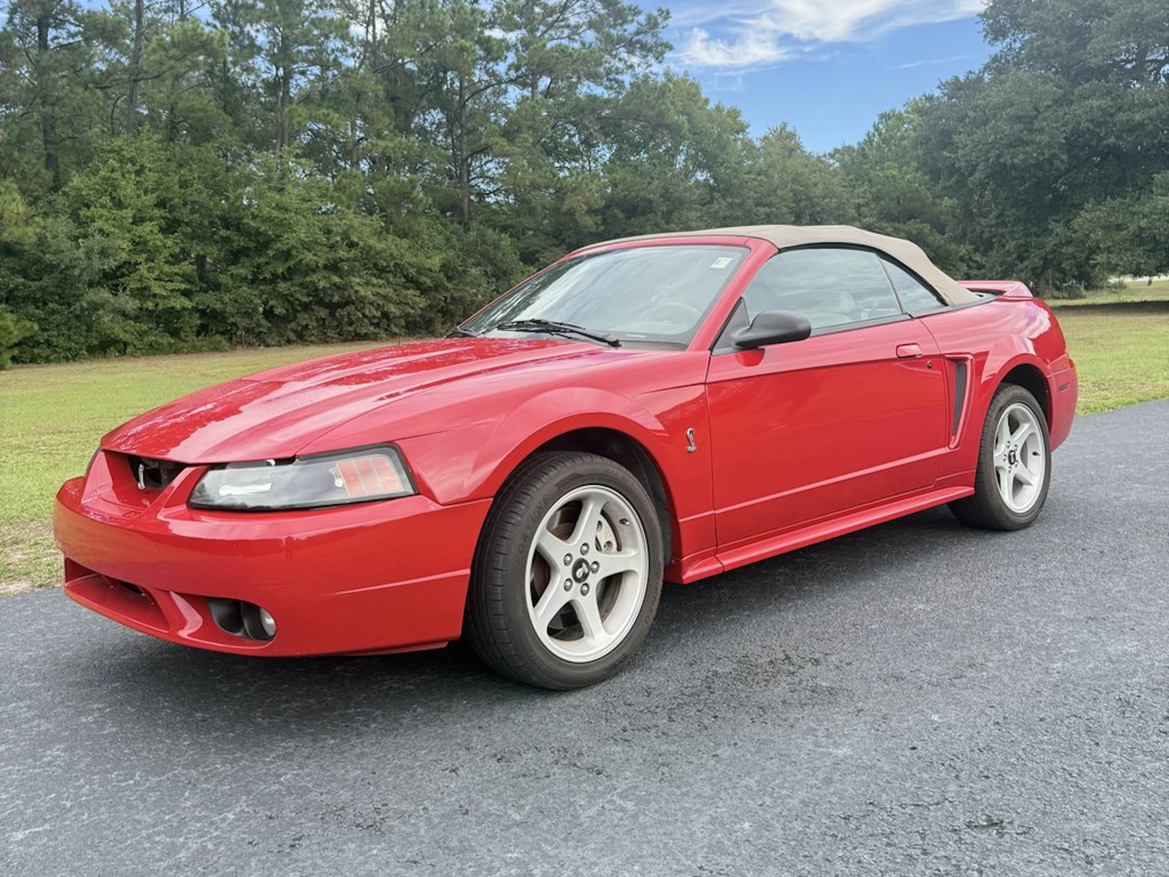 1999 Ford Mustang SVT Cobra