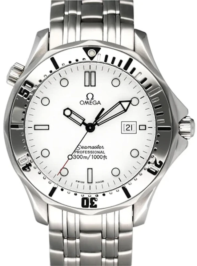 Omega Seamaster Professional 2542.20.00 Men's Watch