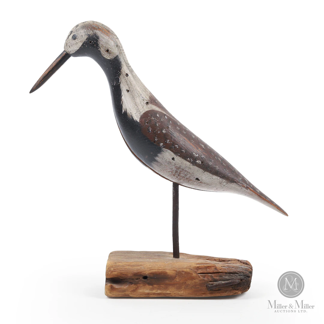 Ruddy Turnstone