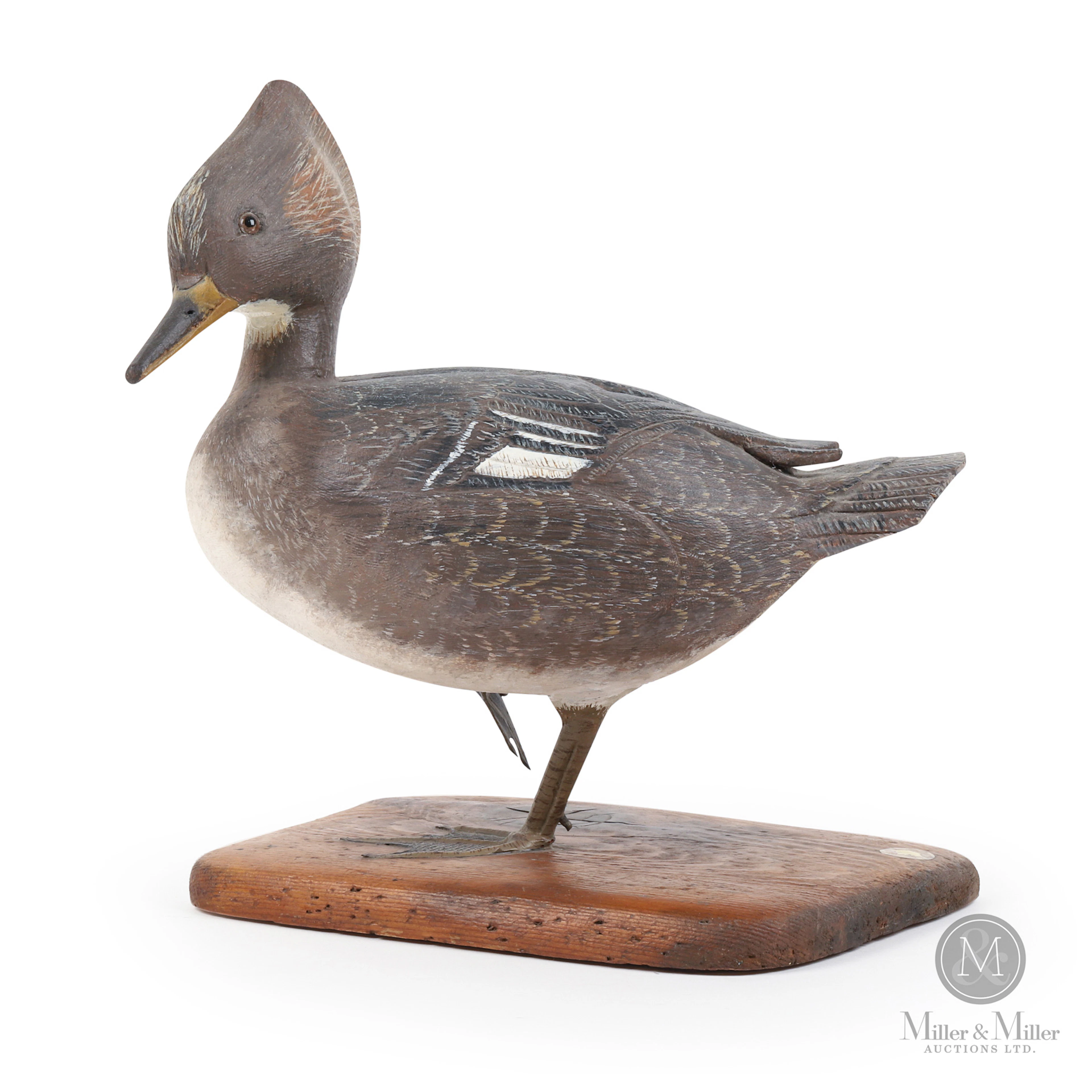 J. MacDonald Hooded Merganser Hen