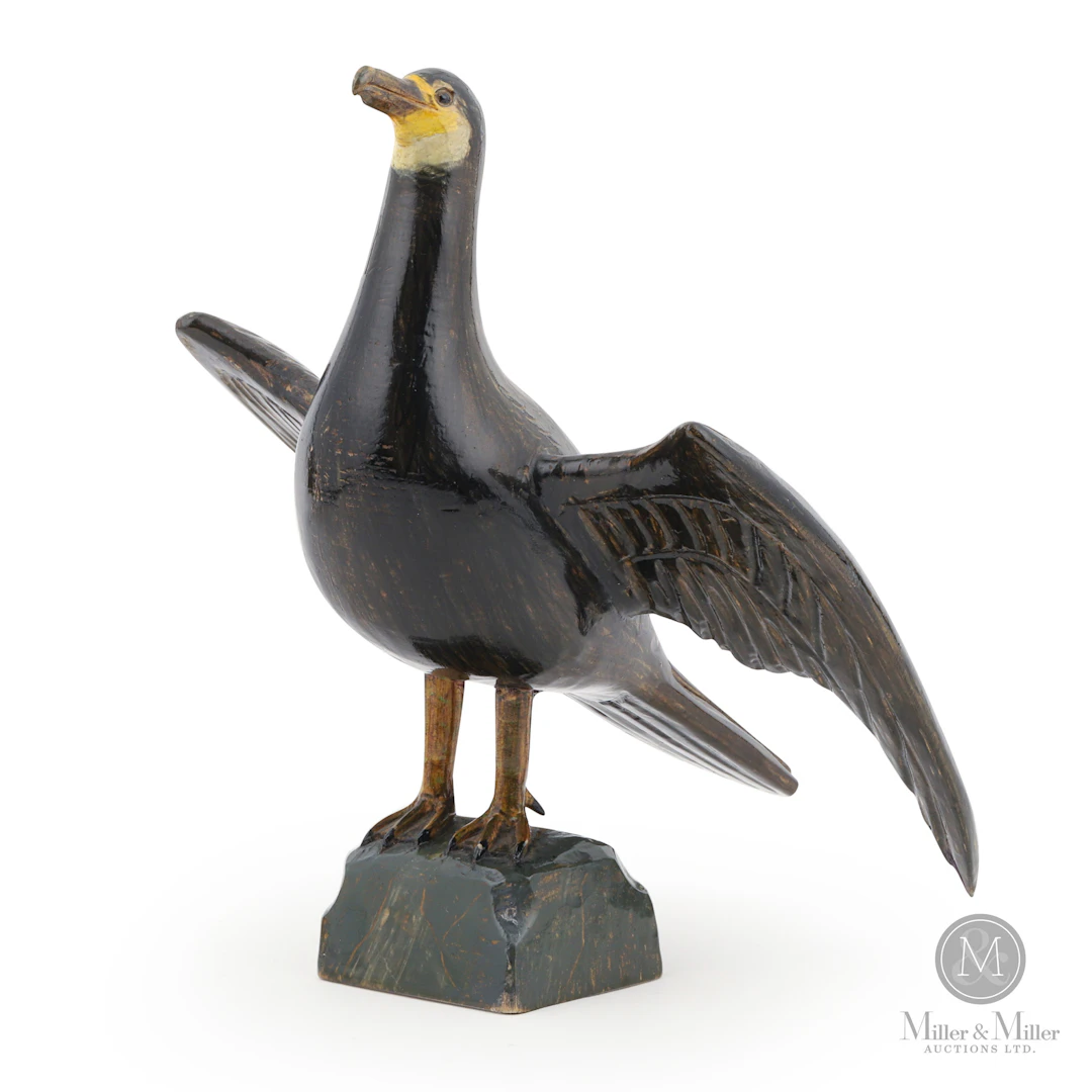 Yvon Coté Grey Cormorant
