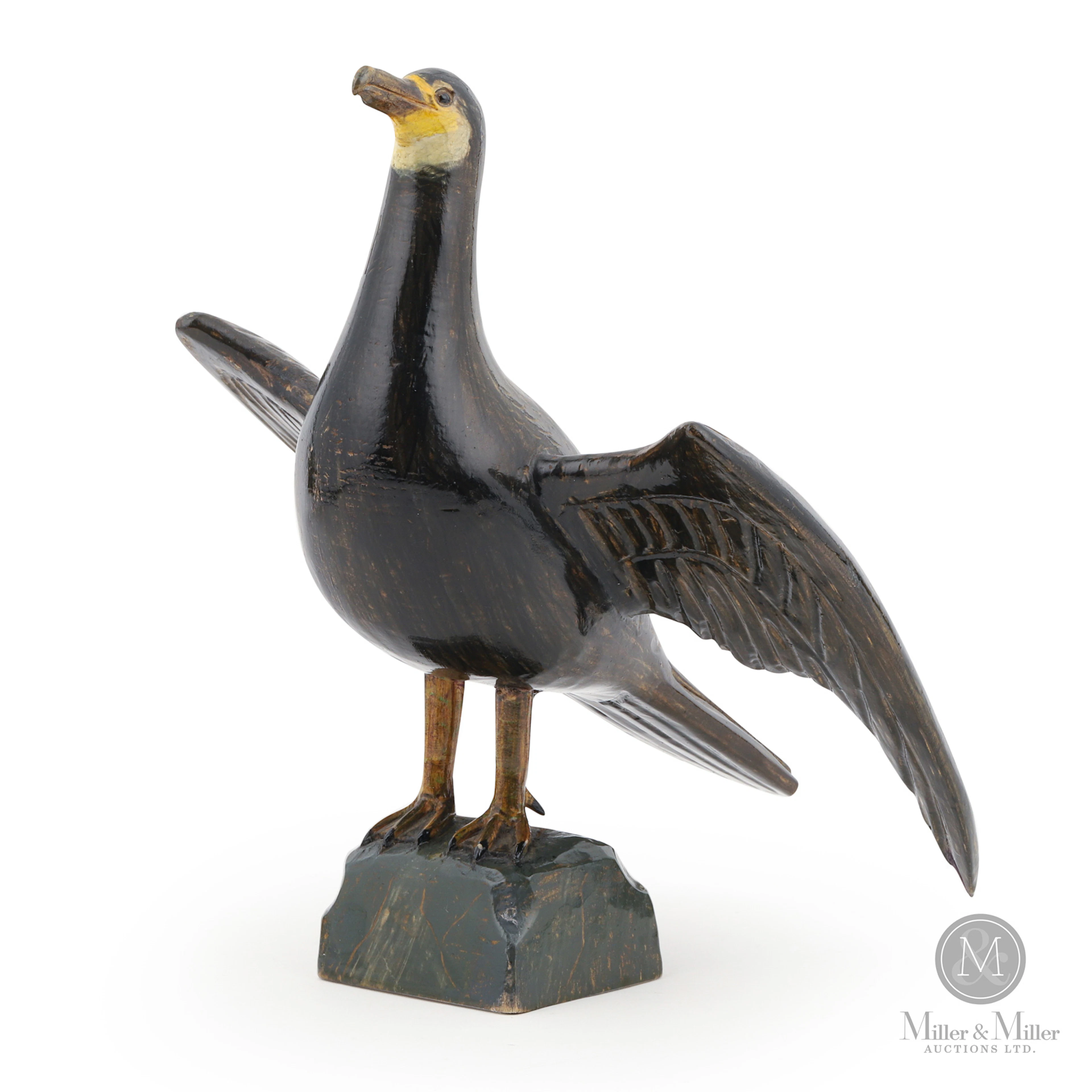 Yvon Coté Grey Cormorant