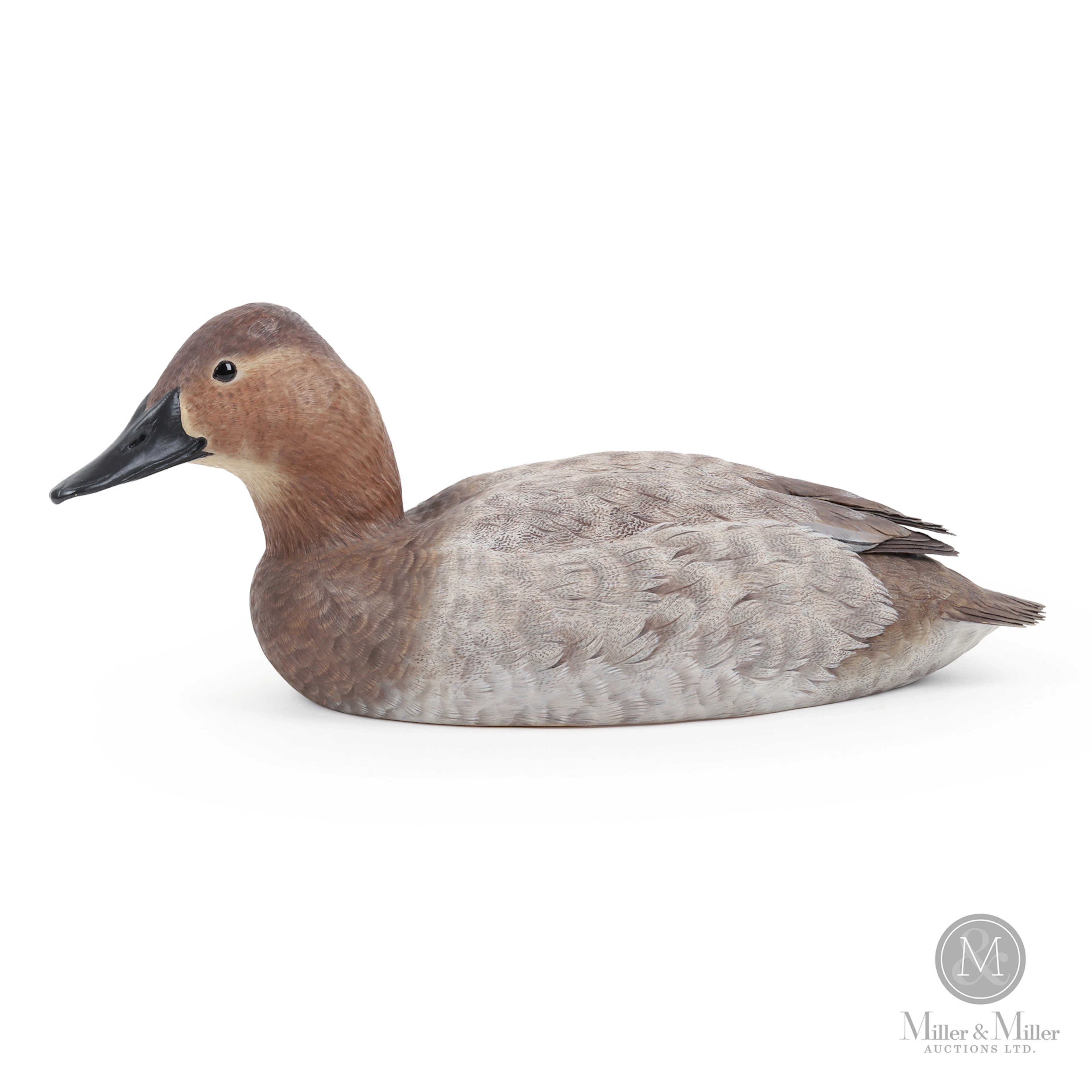 Pat Godin Canvasback Hen Decoy