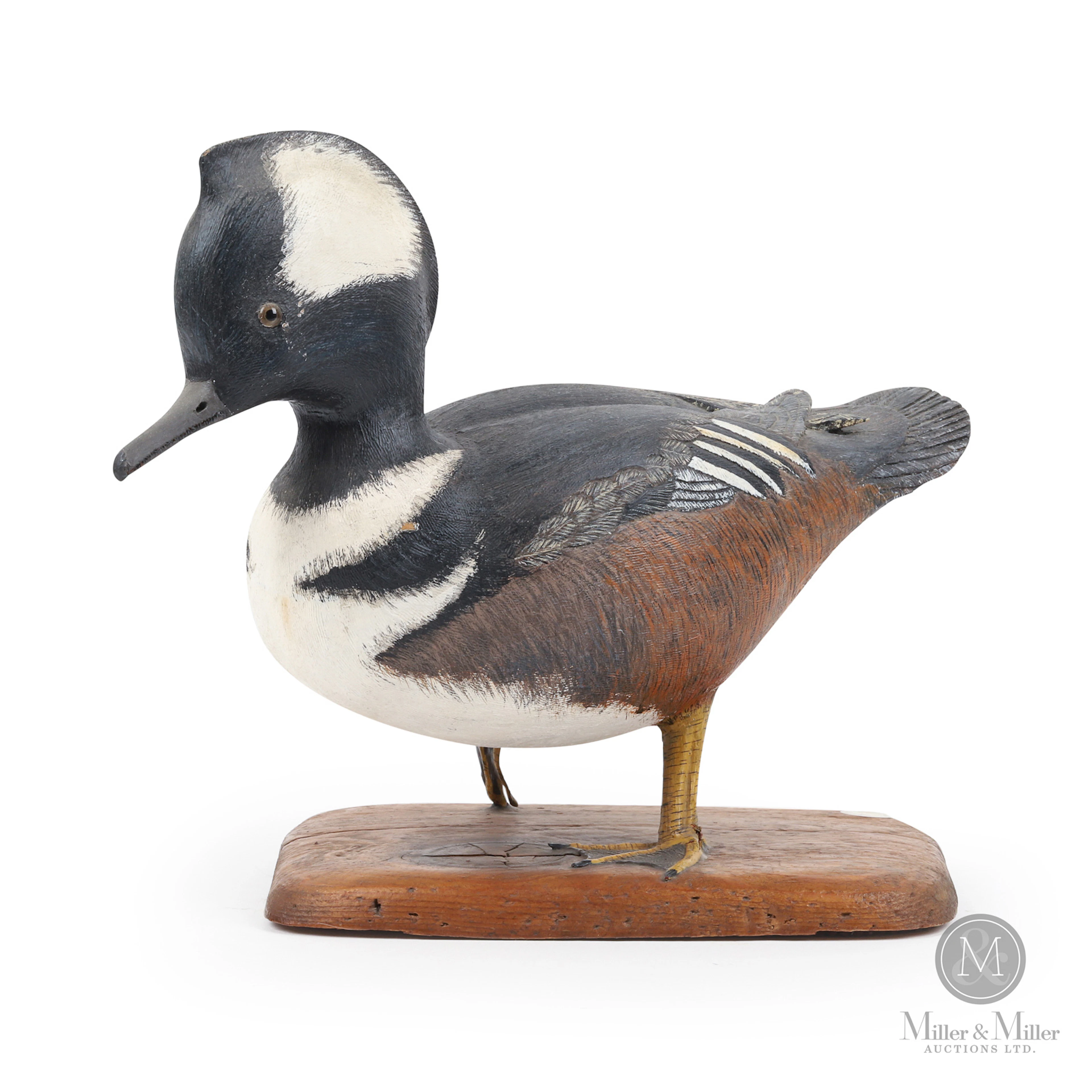 J. MacDonald Hooded Merganser Drake