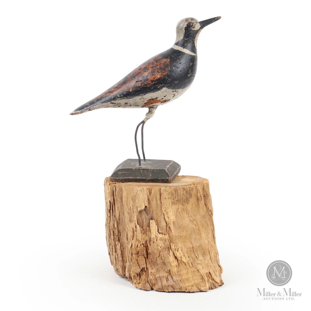 *PREVIEW LOT* Ruddy Turnstone, Toronto