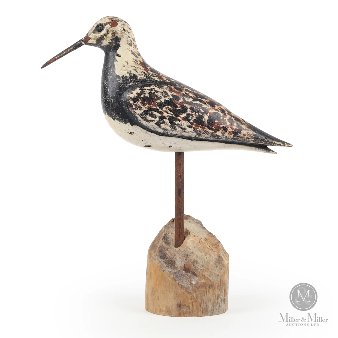 *PREVIEW LOT* Ruddy Turnstone, Bowman or Bunn, Long Island NY