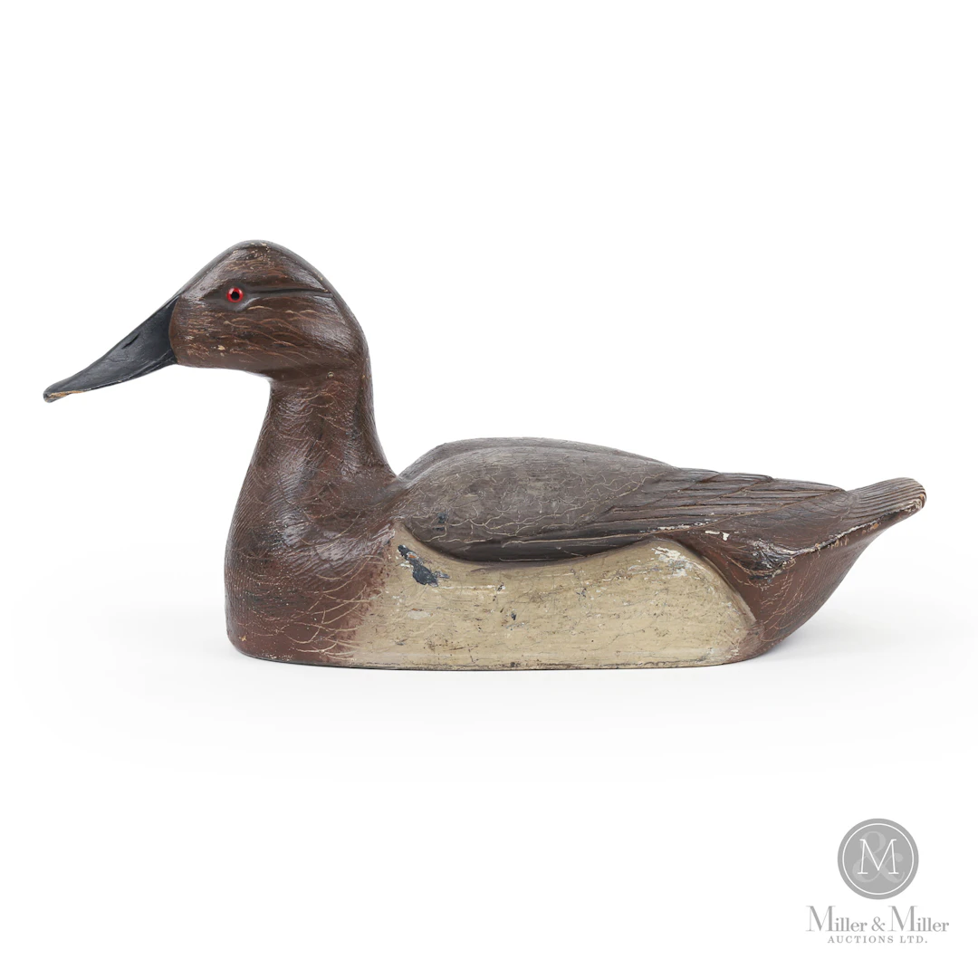 Francis Kortright Hollow Hen Canvasback