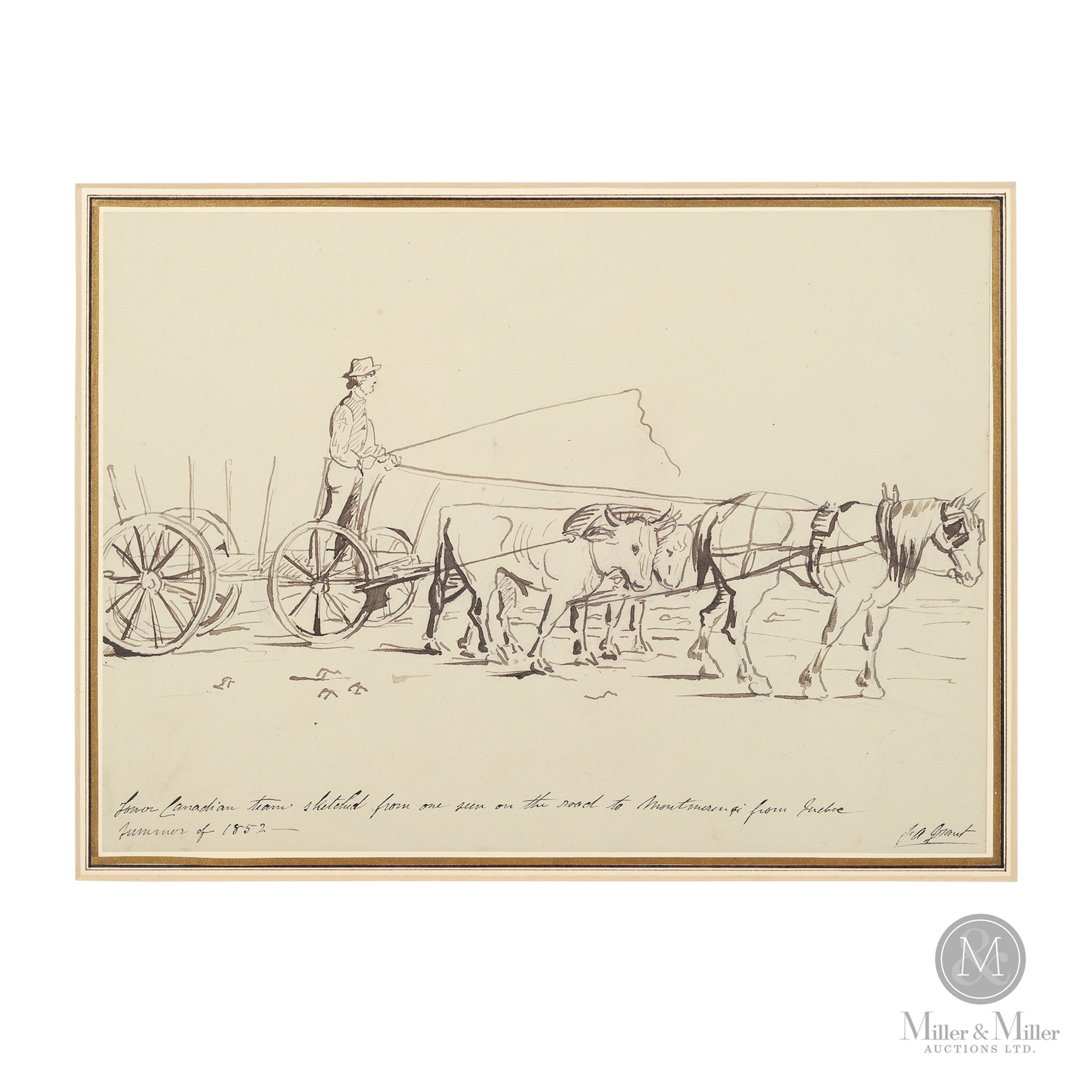 Francis Grant — Montmorency Oxen Team
