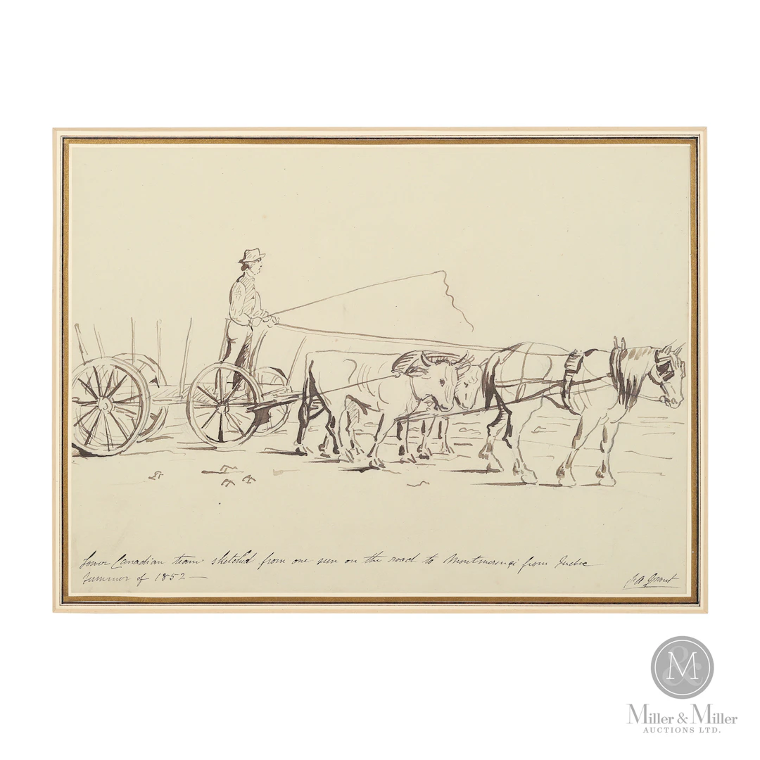 Francis Grant — Montmorency Oxen Team