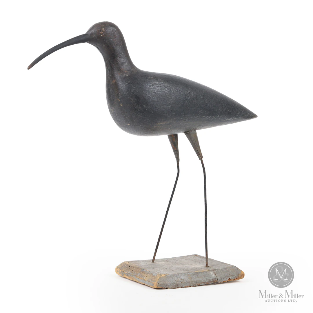 Curlew, Toronto