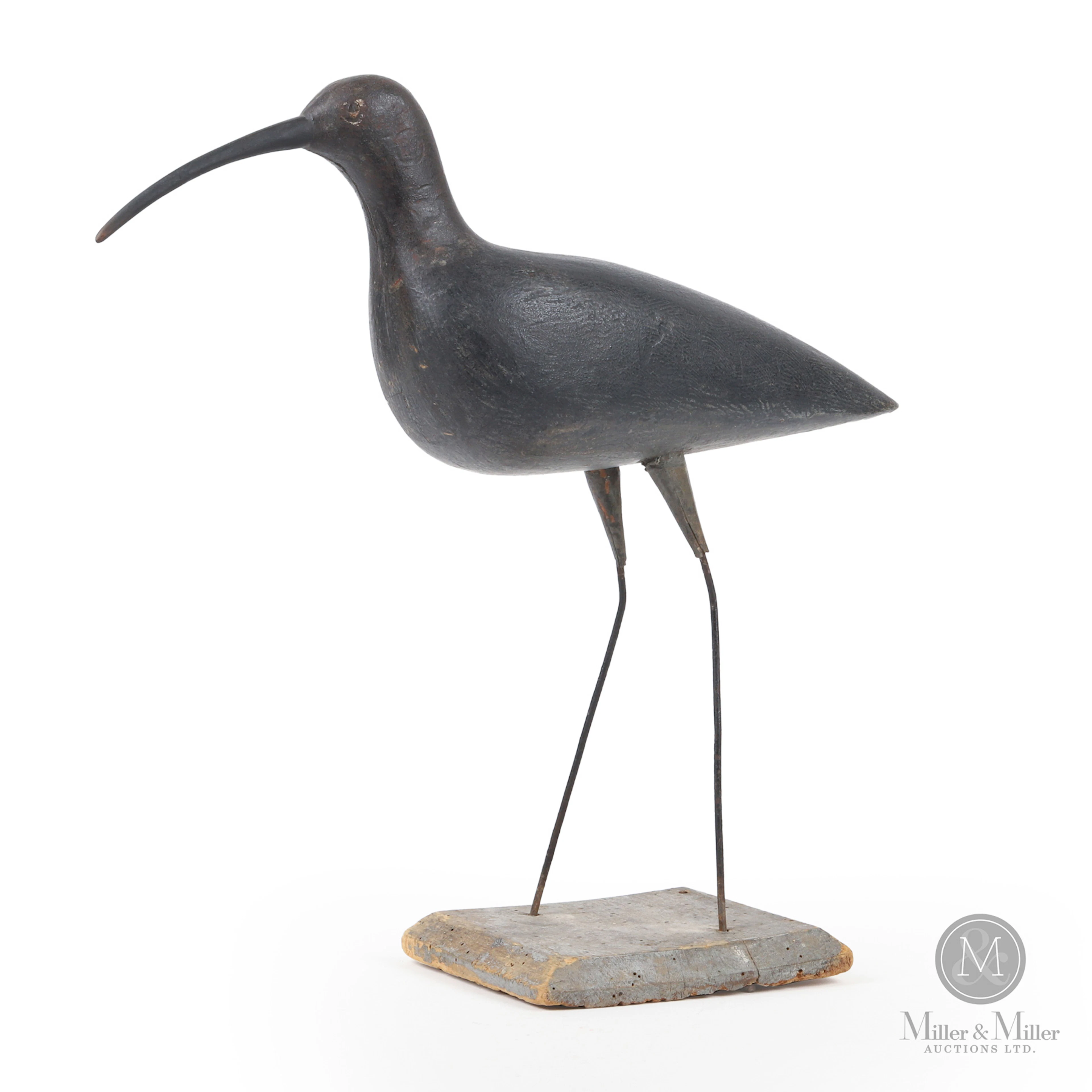 Curlew, Toronto