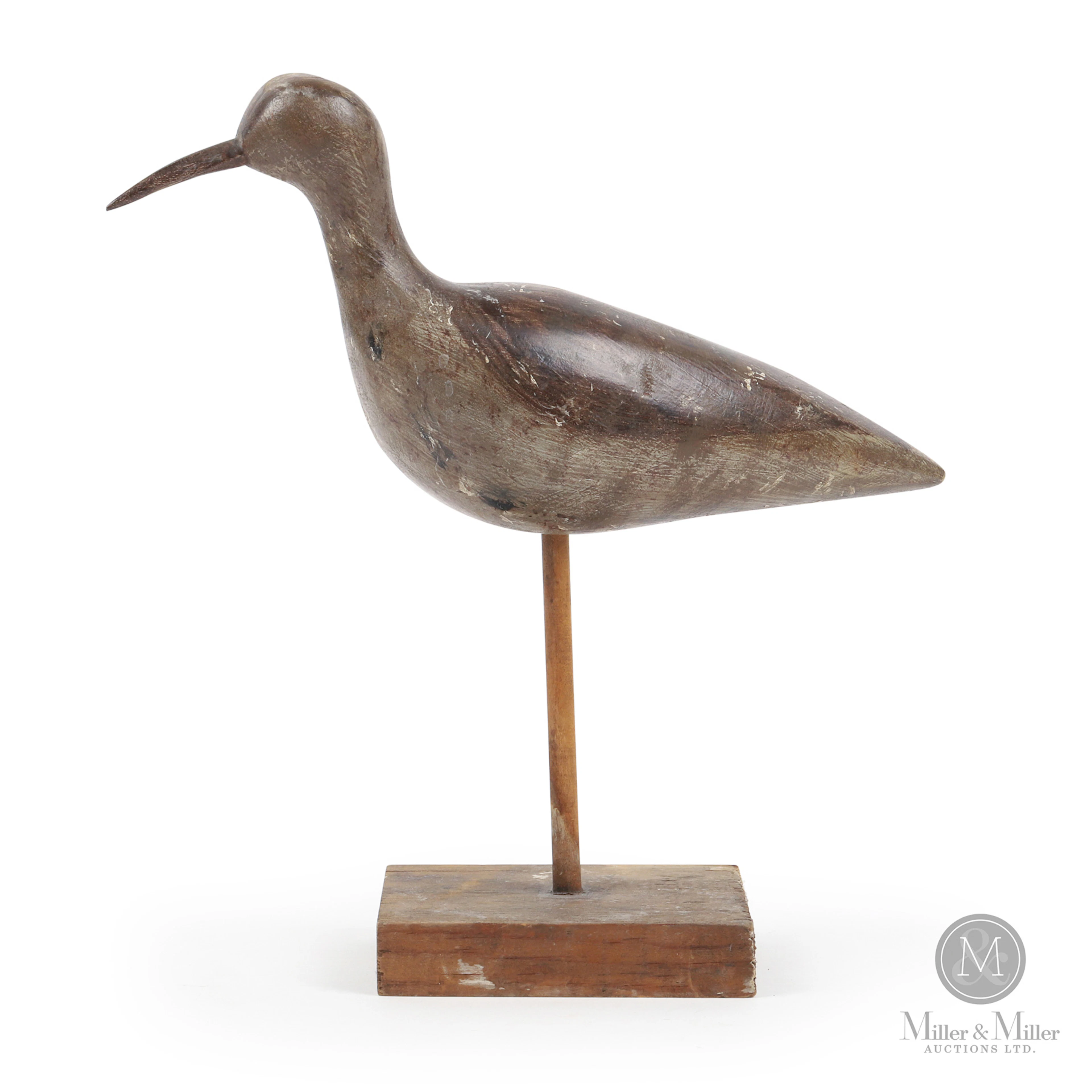 Maritimes Shore Bird